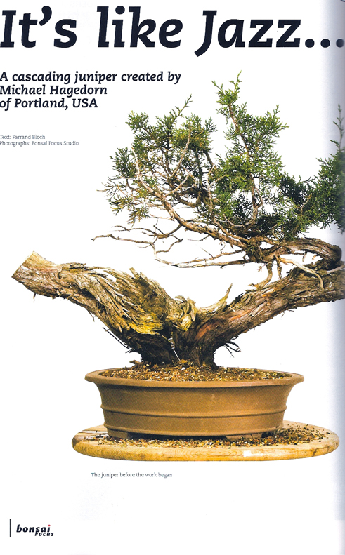 Bonsai Focus juniper styling | Michael Hagedorn