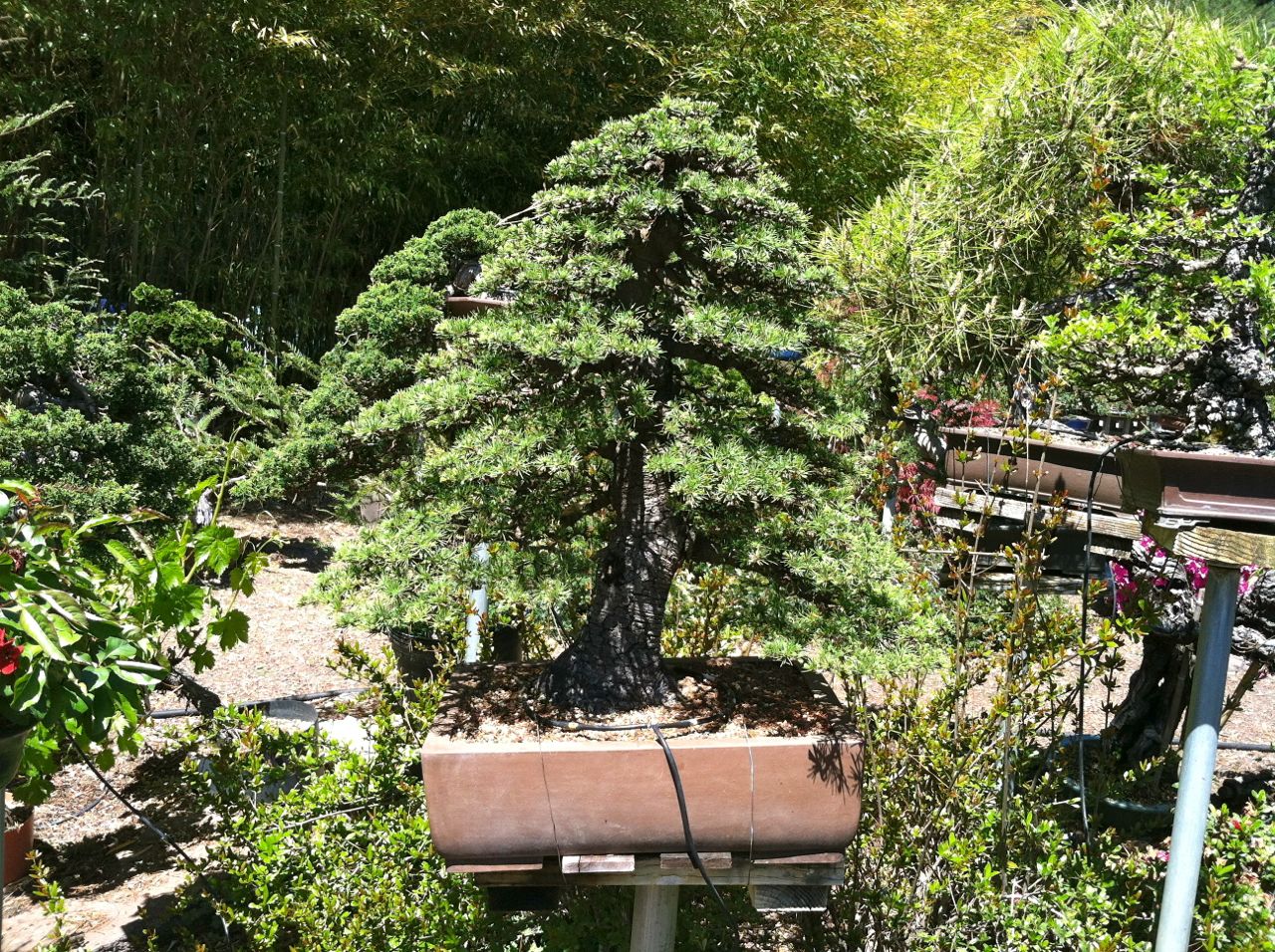 IMG_1059