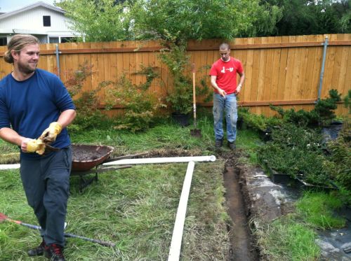 frenchdrain2013
