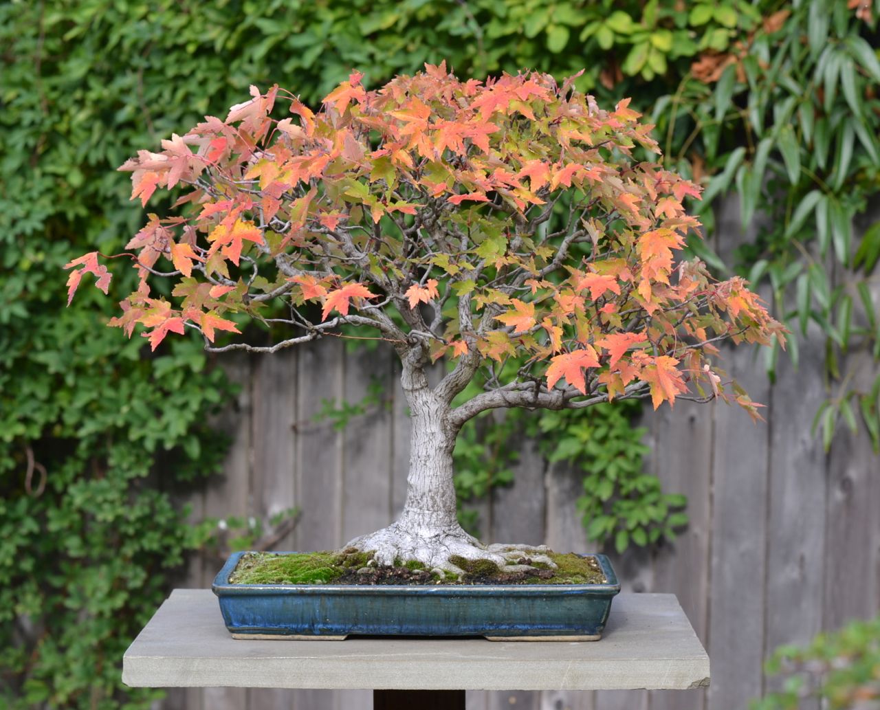 The Blaze of Autumn Sweetly Burns