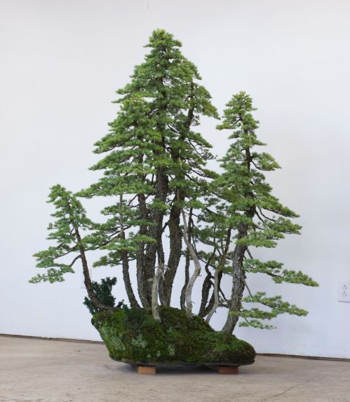 DSC_0809 - Version 2