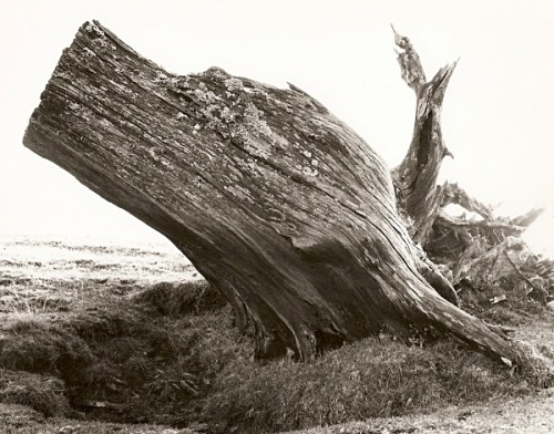 7784_10486250284b927d043a75c