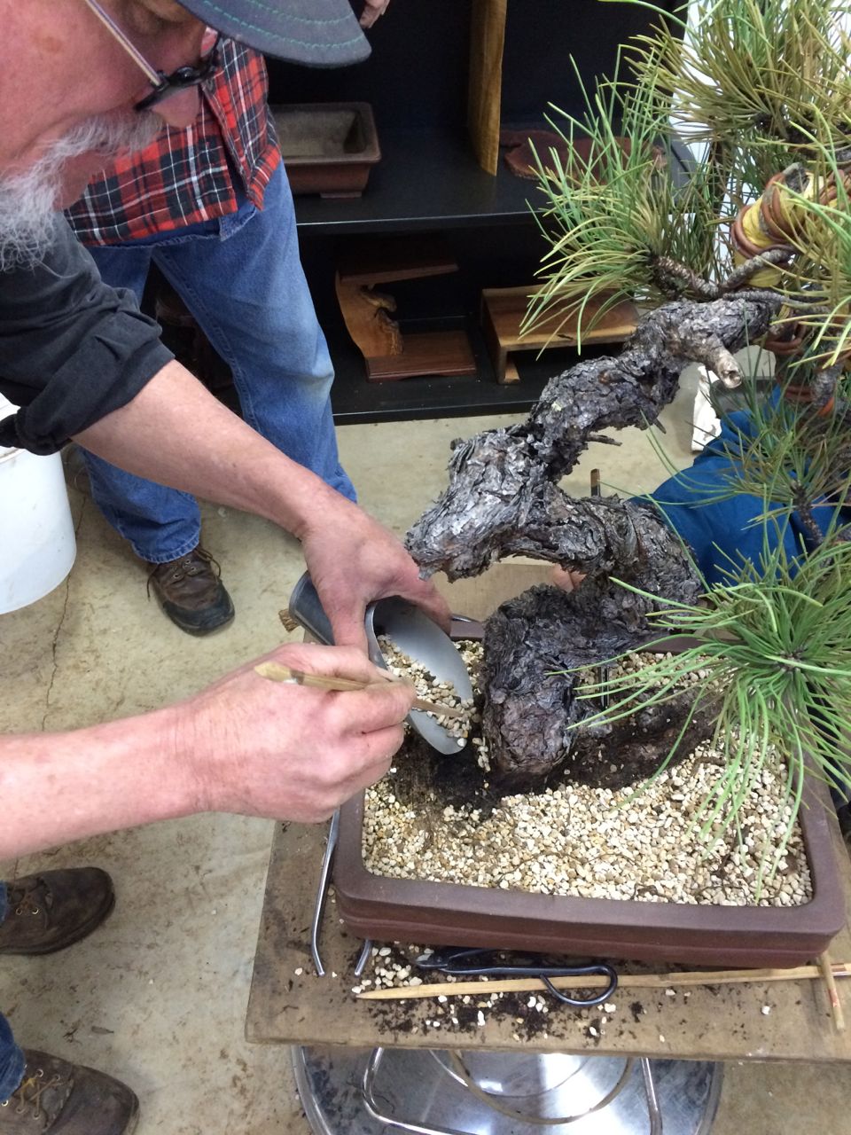 Photos From Recent Seasonal Classes-