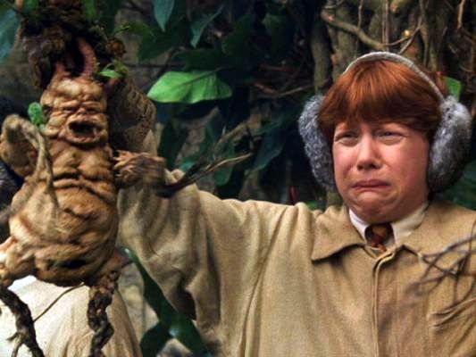 ron-pulls-a-mandrake