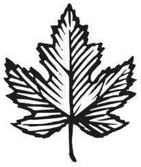 maple-leaf-icon