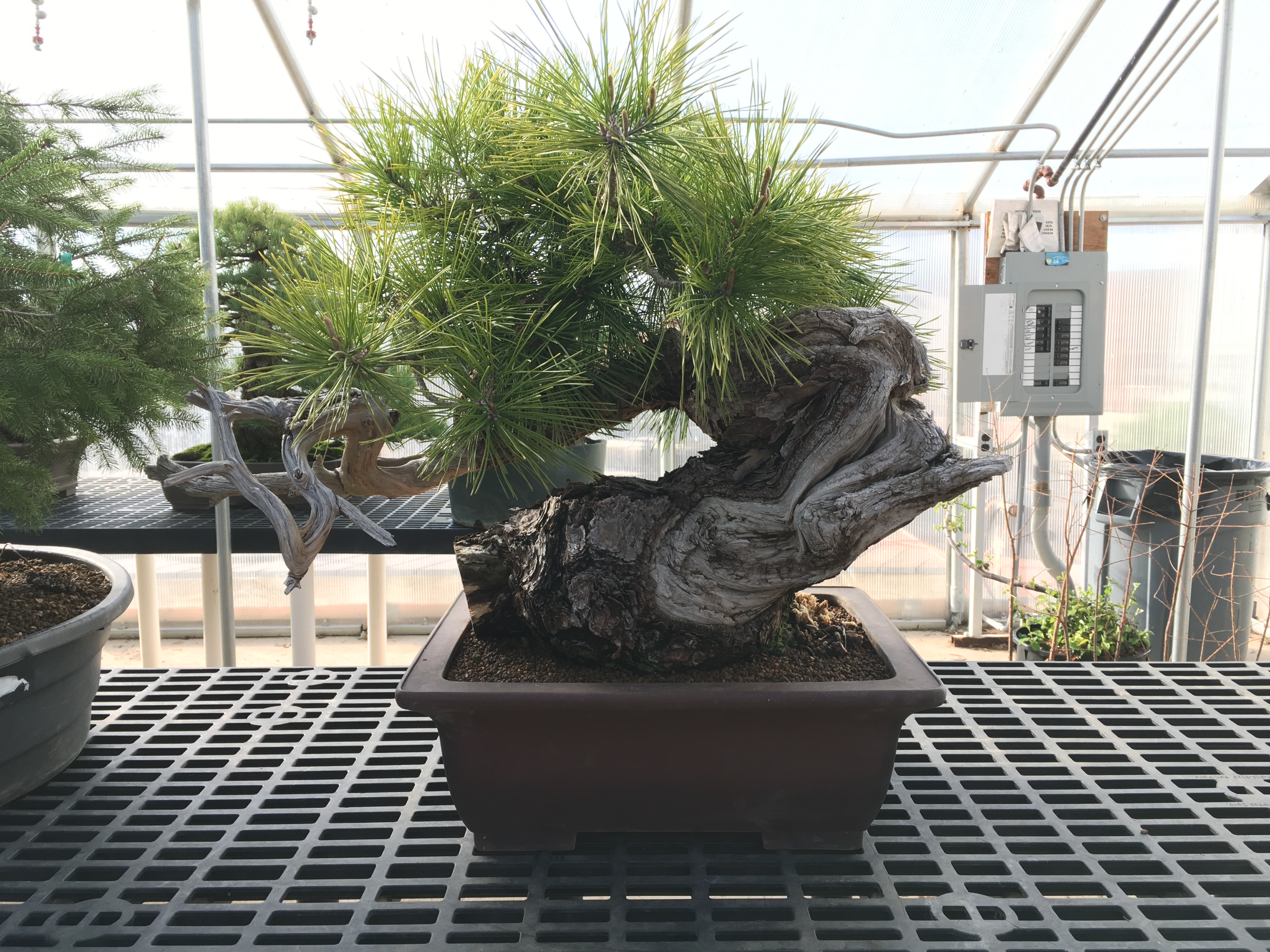 Old Project Revisit and New Project Teaser…