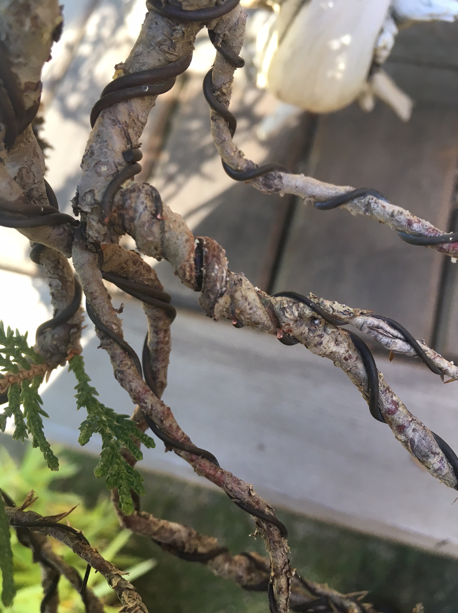 You Don’t Need to Remove ALL the Wire…