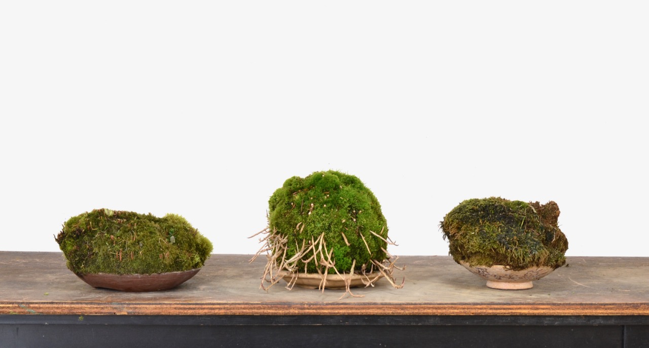 Preparing Accents for Winter–