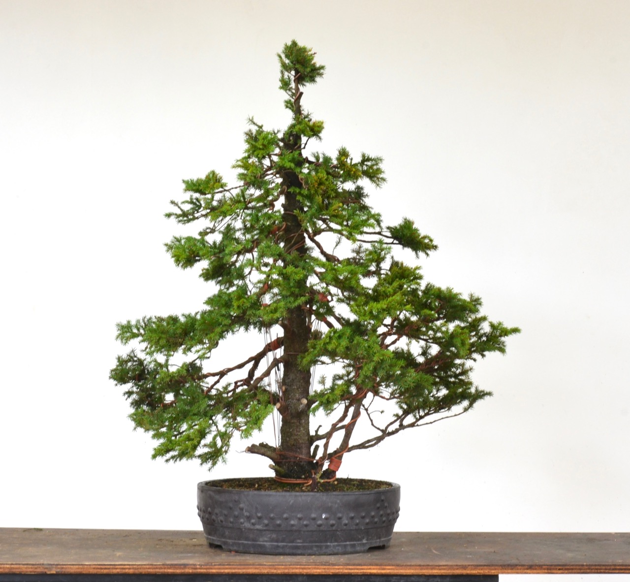 Ugly vs. Pretty Styling