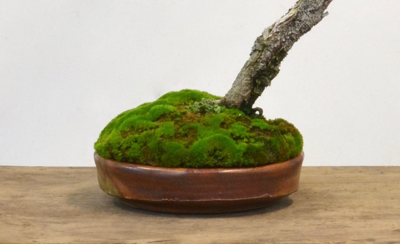 What’s Wrong Here? A Blog Quiz-