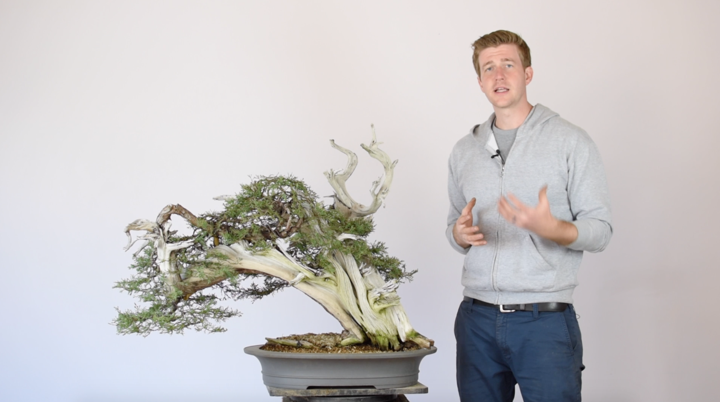 Review: Bonsai Empire Advanced Bonsai Course 2