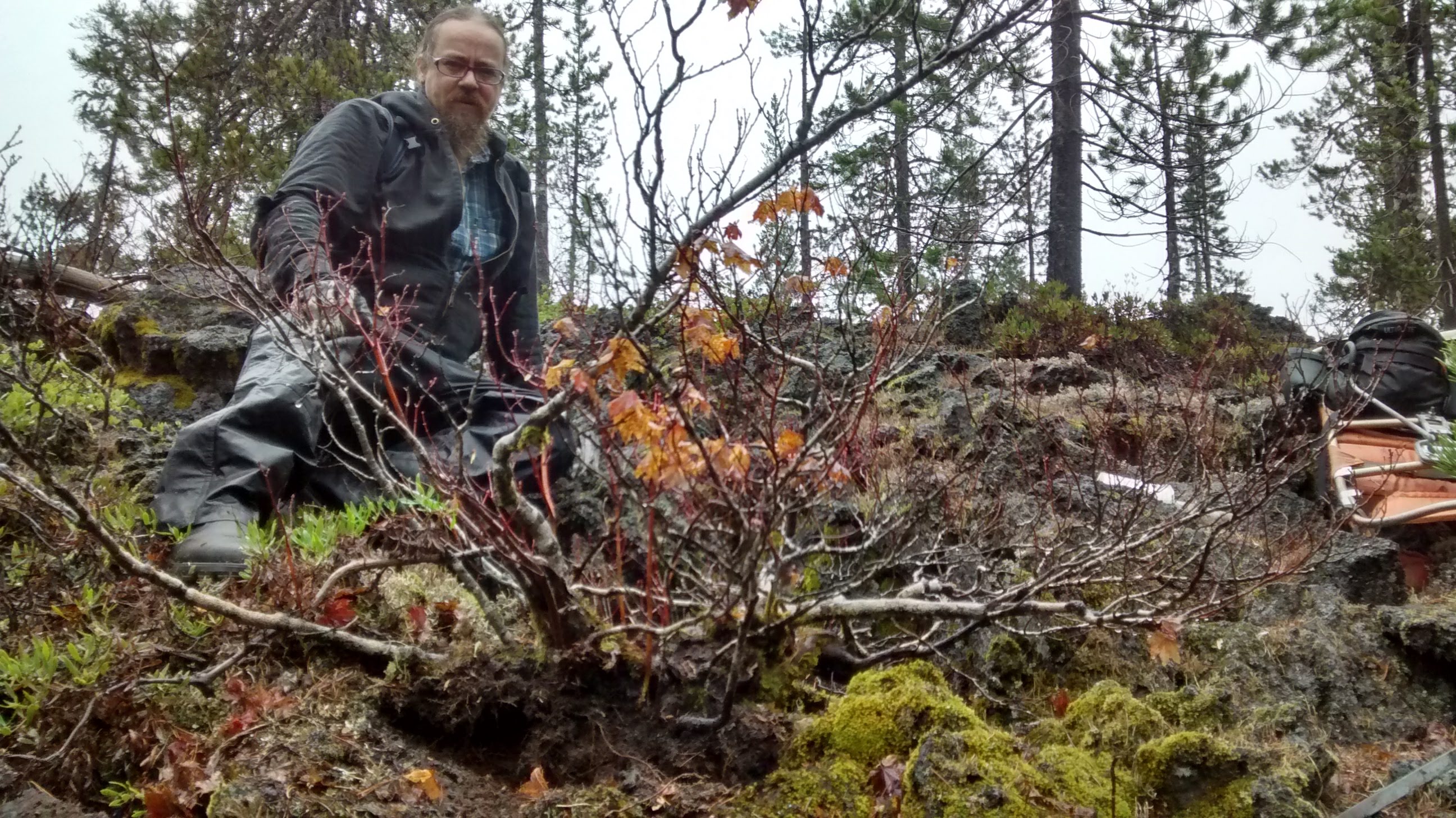 IMG_20201103_145853705_HDR