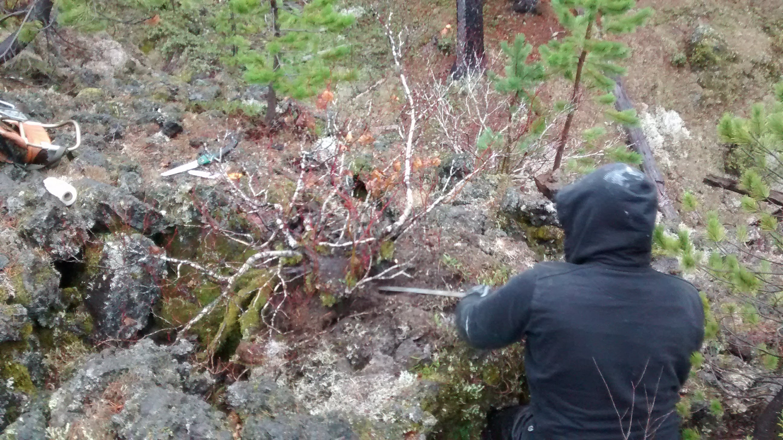 IMG_20201103_160201561