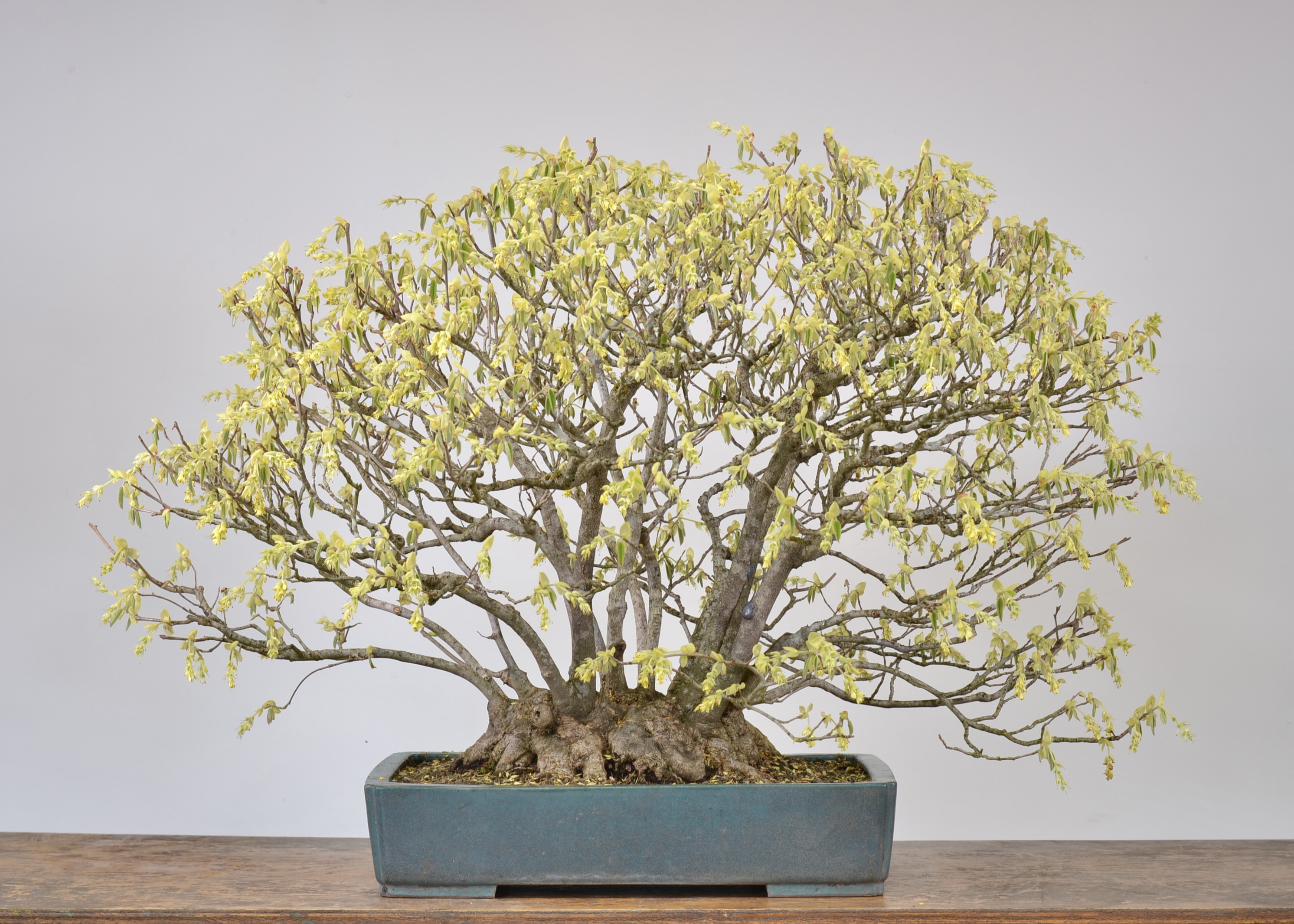 3FDE286F-03F7-4E91-B1F0-3A0047A1ED40