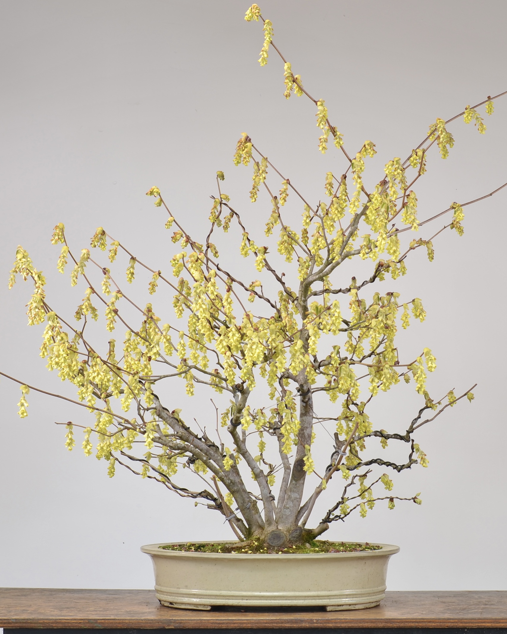 4A38DC83-4999-48CE-9713-32B3FE69DD70