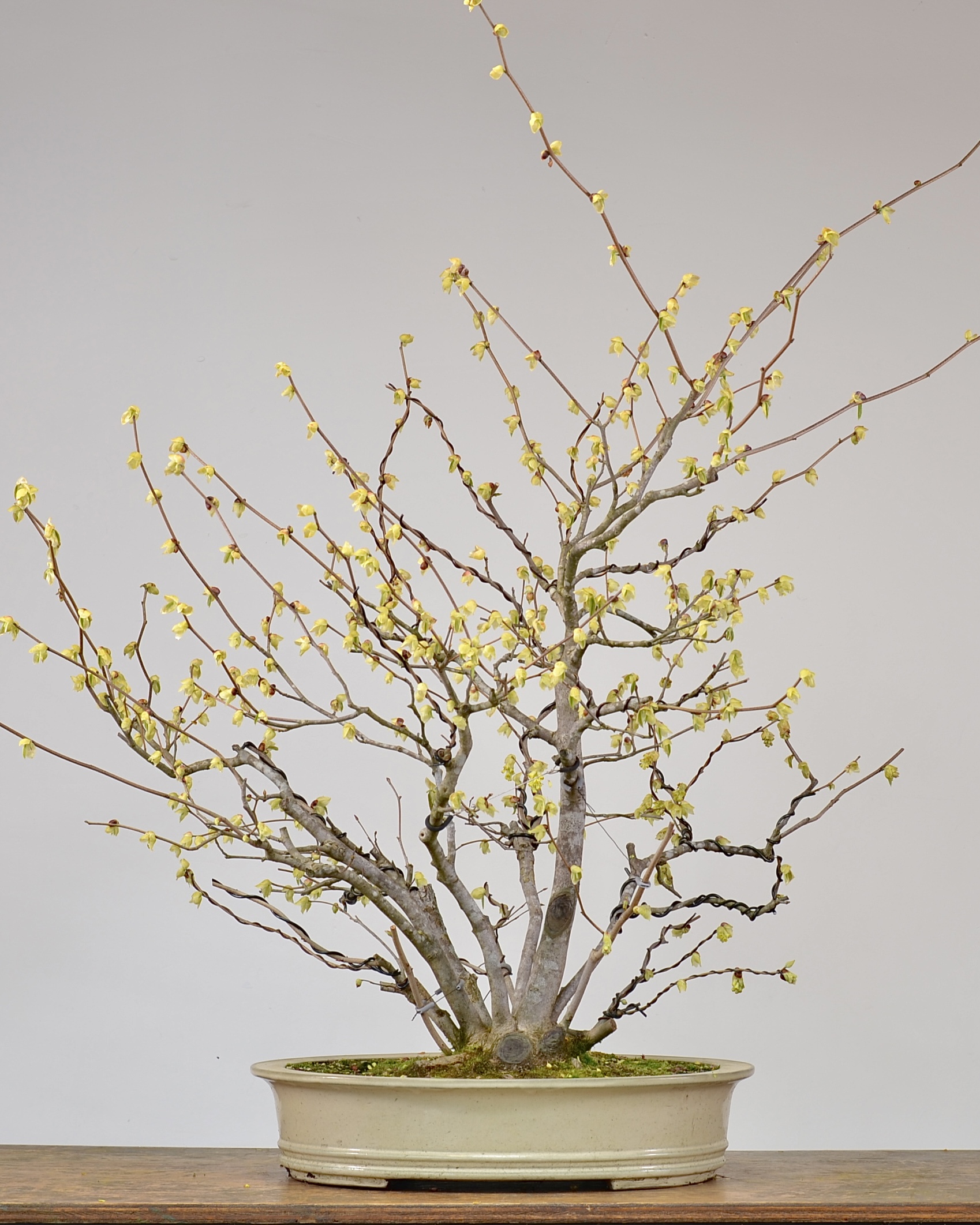 A20D6AA8-9953-4577-9FA0-ADCDB8006869