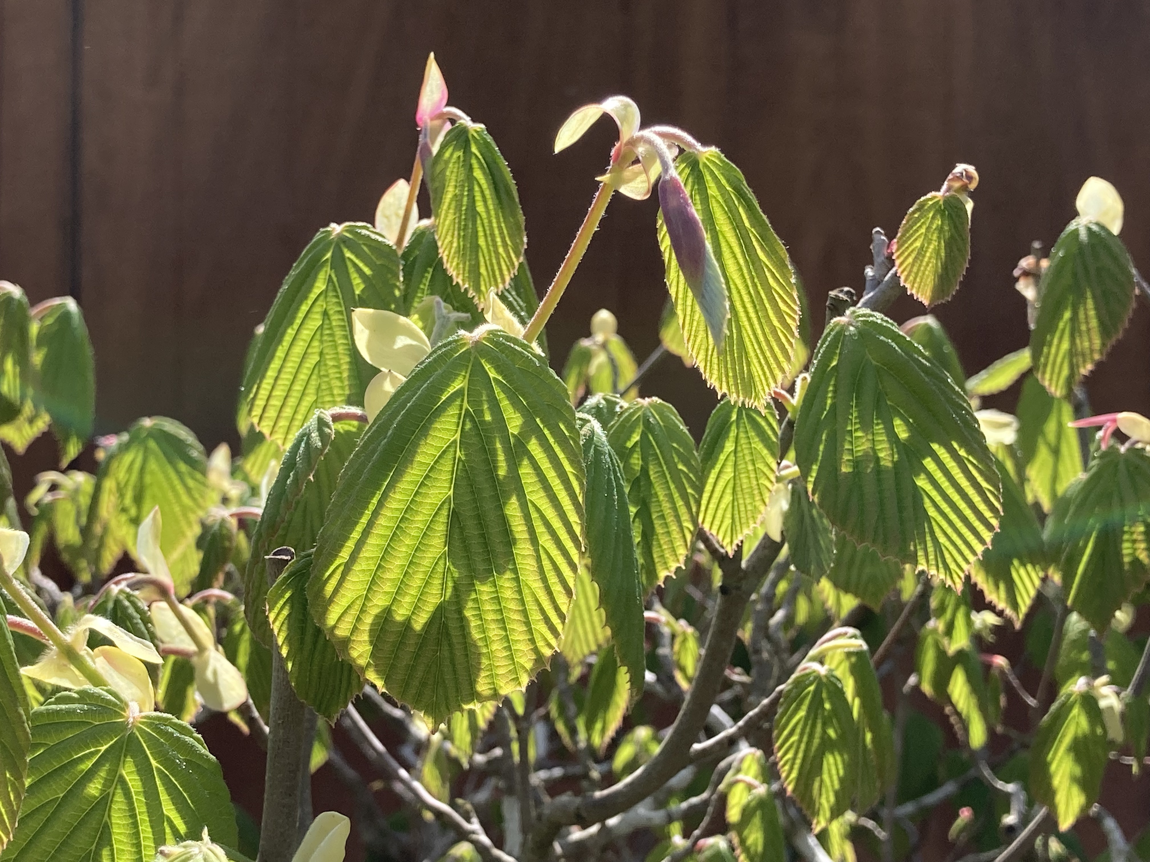 A8526EE9-C4F4-479F-A6F9-FA54DC301E64