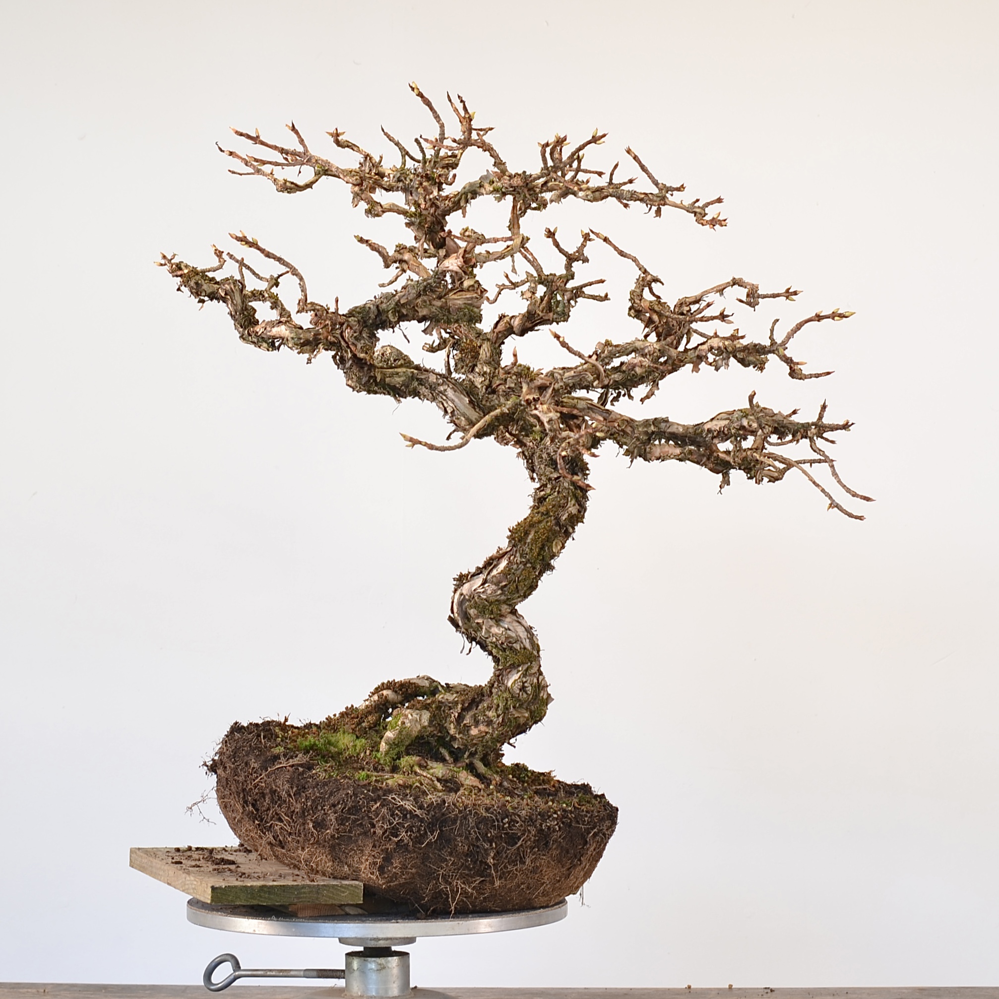 B9B43C03-883F-4ED9-9402-DD0D7C836C2D