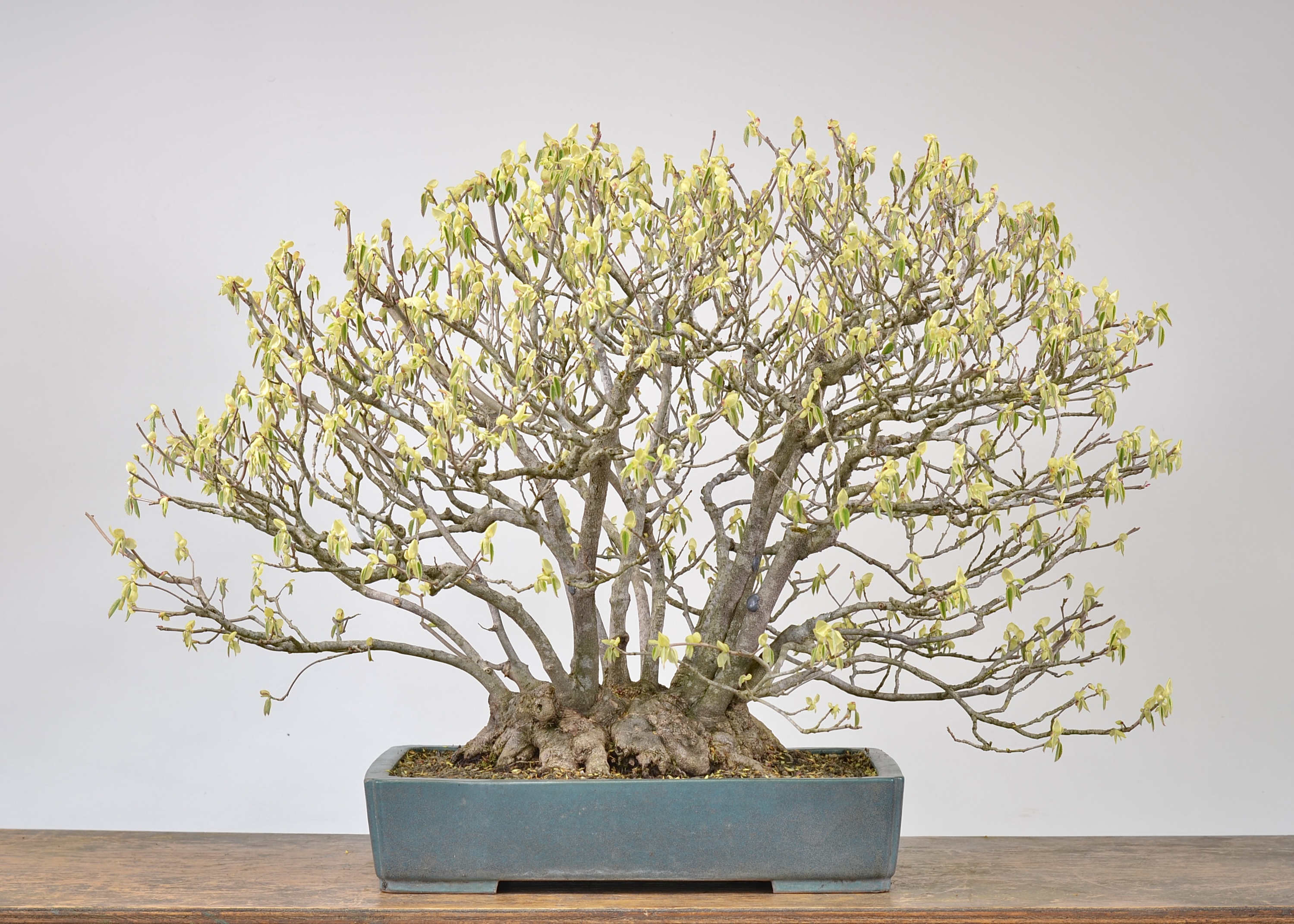 DB0953E5-ED0C-4136-A361-FB519E44BEBC