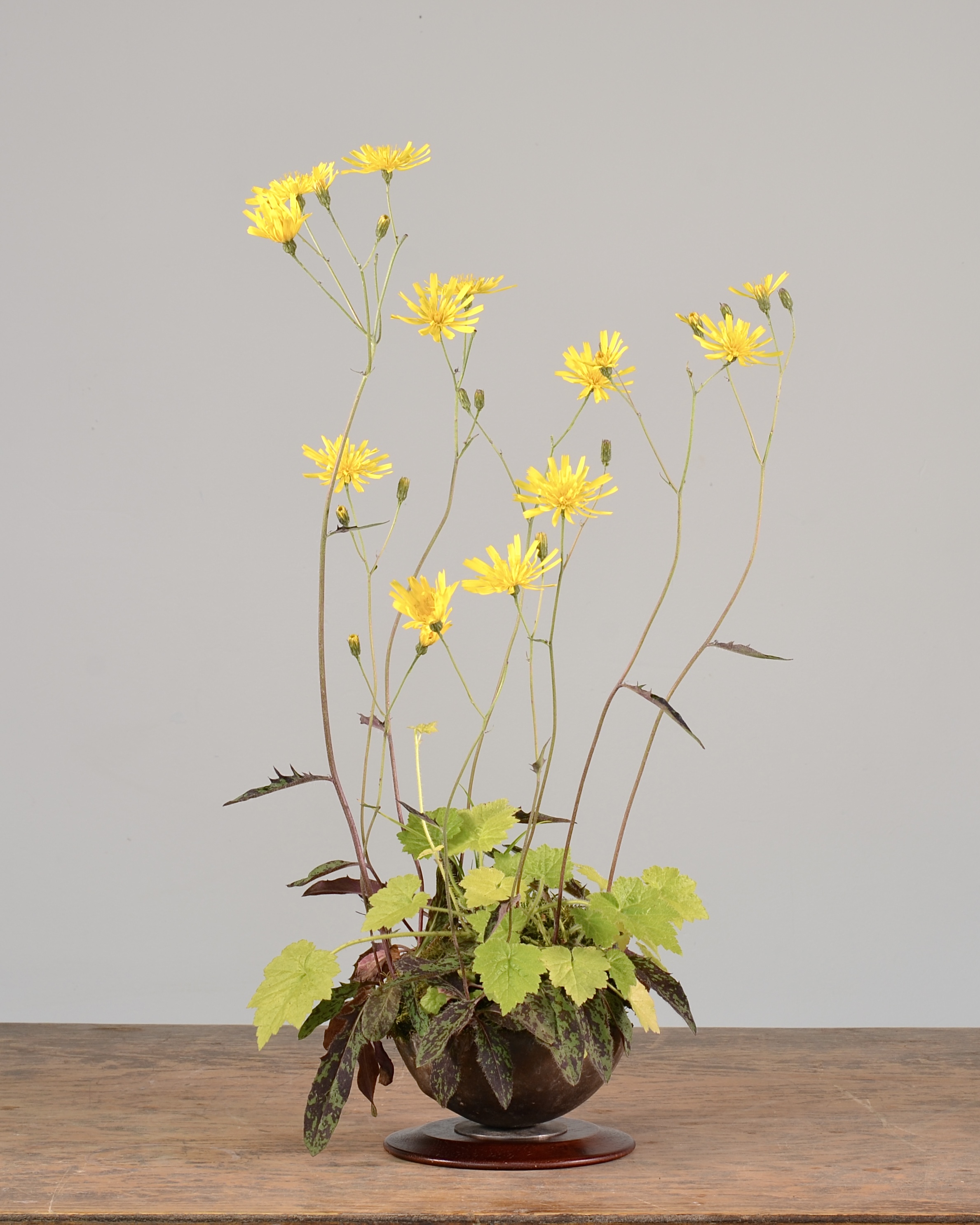 16209DDF-917F-4820-8DA8-C65590EE0219