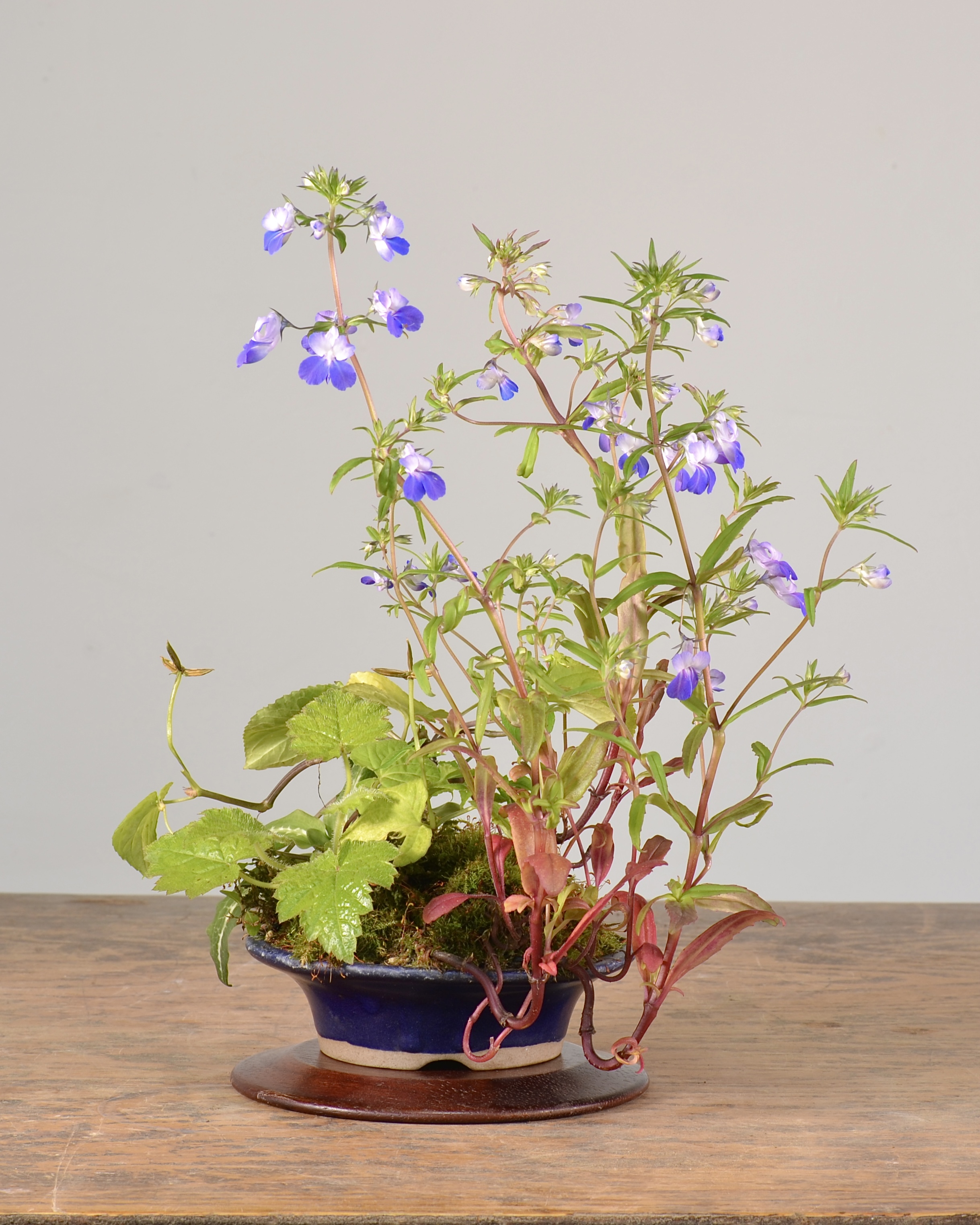 180BB9DD-DB5A-4EDF-95BB-B40743671D12