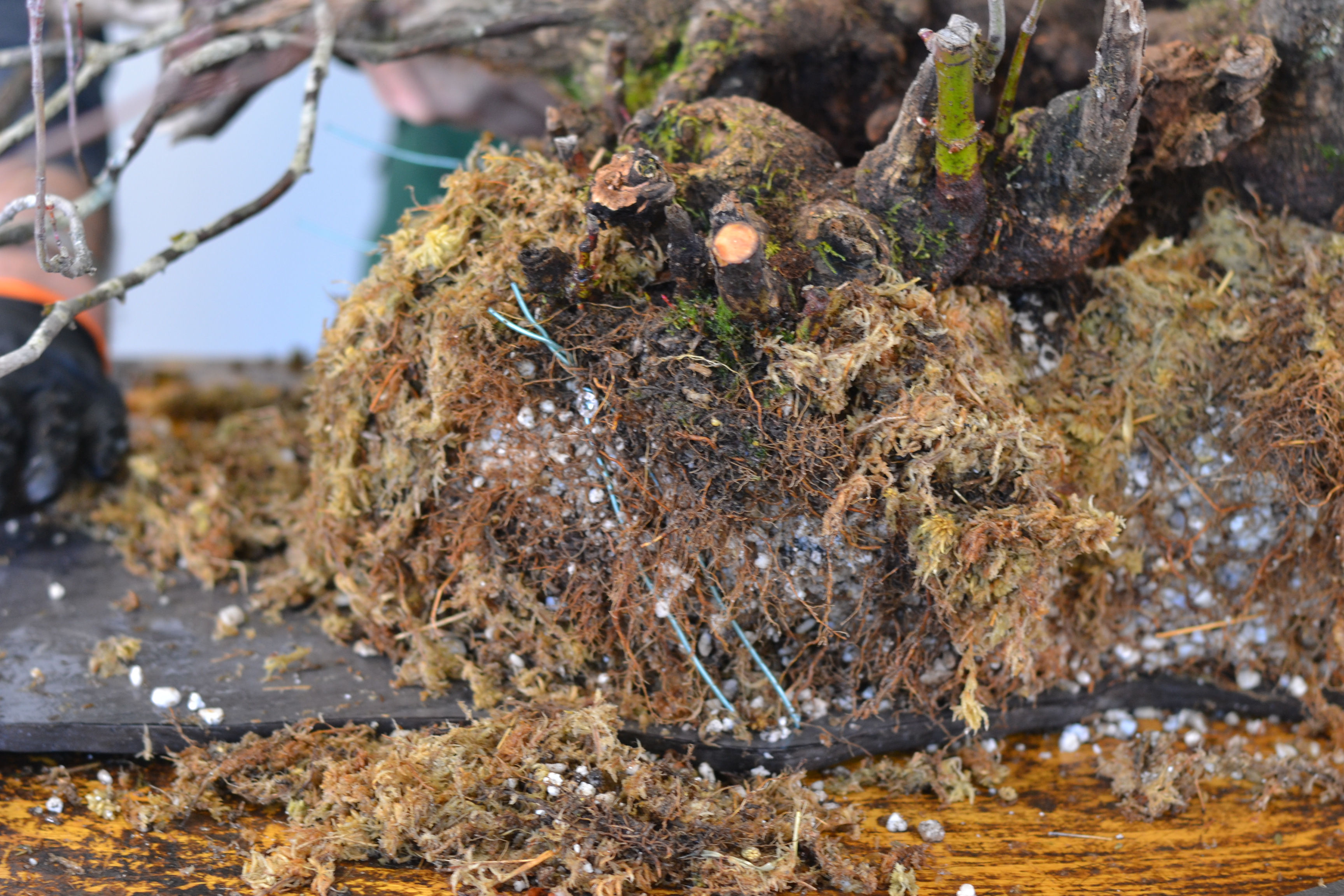 27EDBEA7-175E-4C4A-A166-D13AC46FCDE5