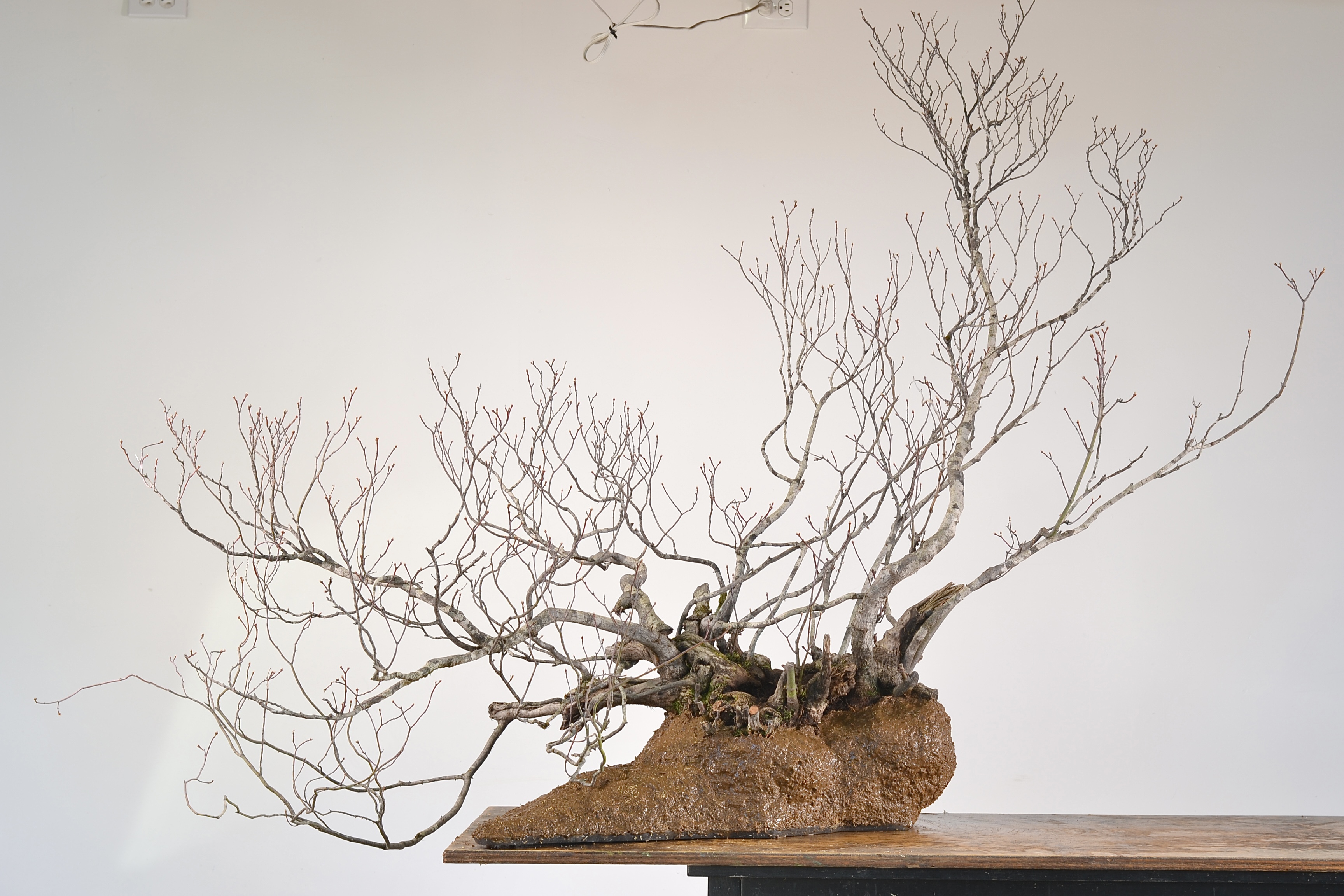 2D45E685-38CD-40B5-8177-F7DC64DC8A6E