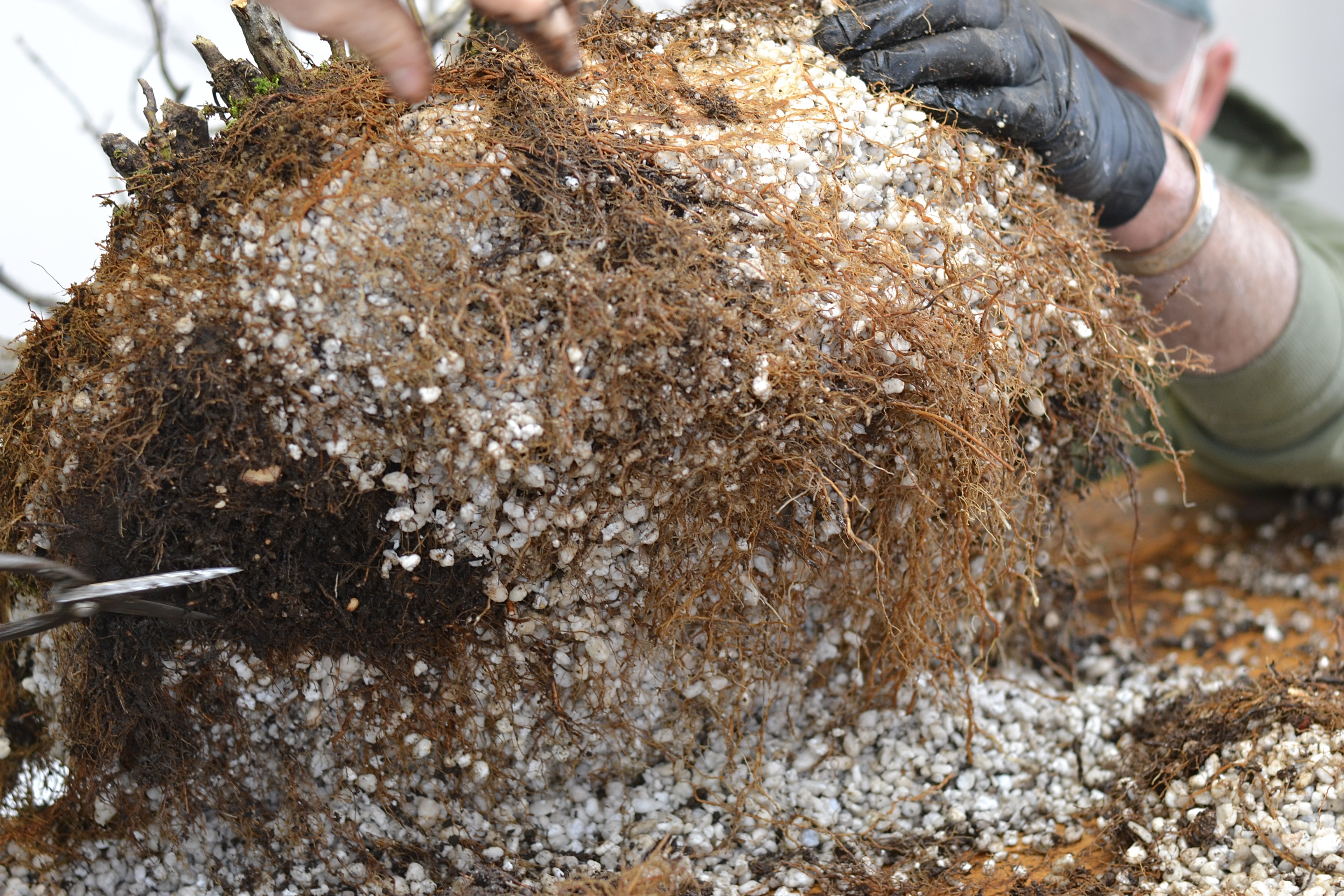 6953D3BC-12FF-42AE-8852-028FB099FCFA