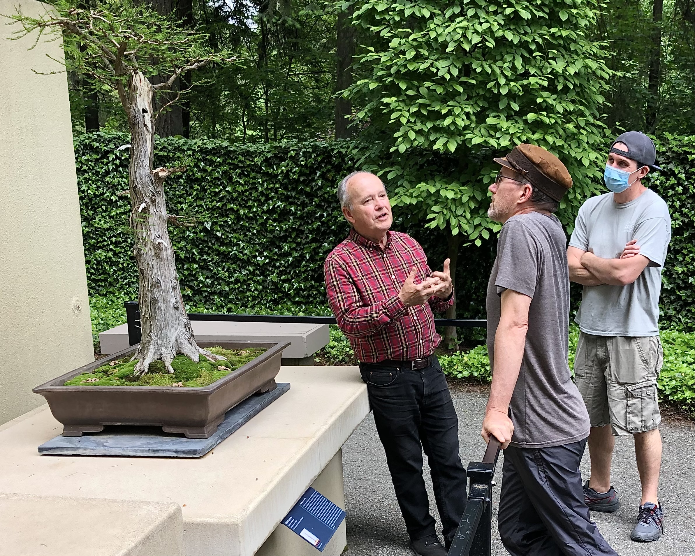 David De Groot's Retrospective at the Pacific Bonsai Museum | Michael  Hagedorn