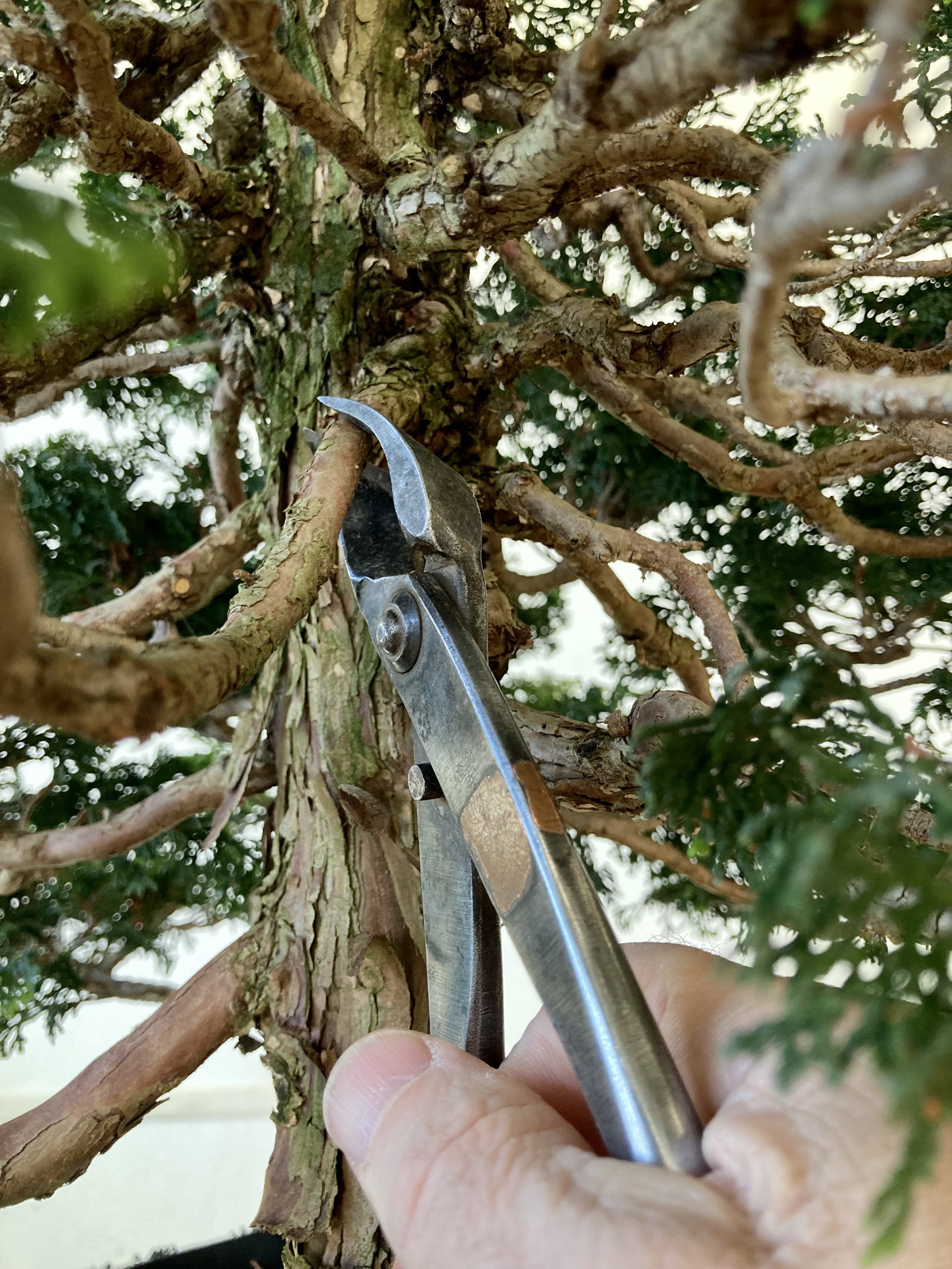 43842716-481C-401B-9BBE-6E7DE1E57221