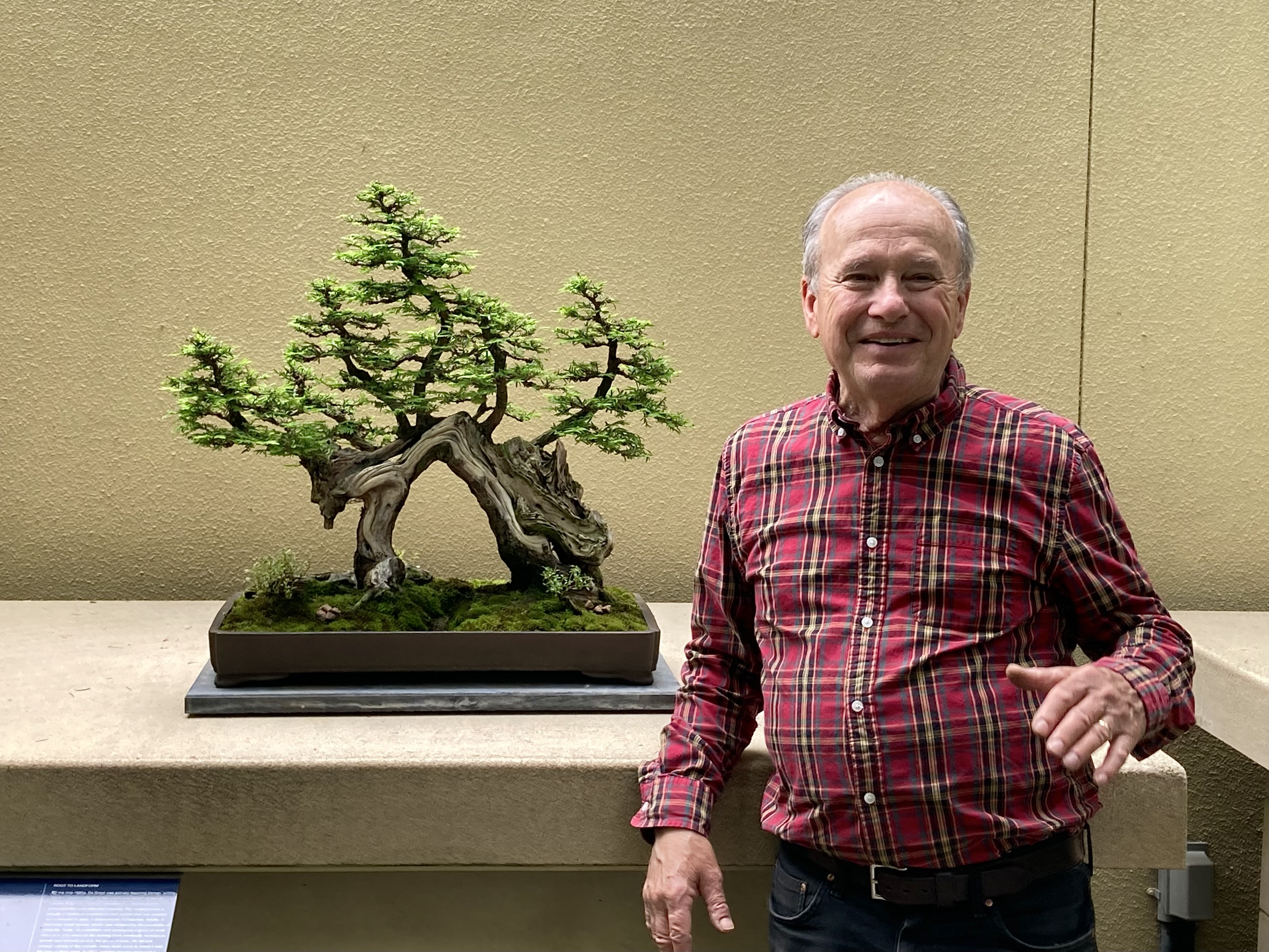 kaffeesatz als dünger für bonsai Bonsaidünger - Mineralischer NPK Flüssigdünger mit Stickstoff main image 0