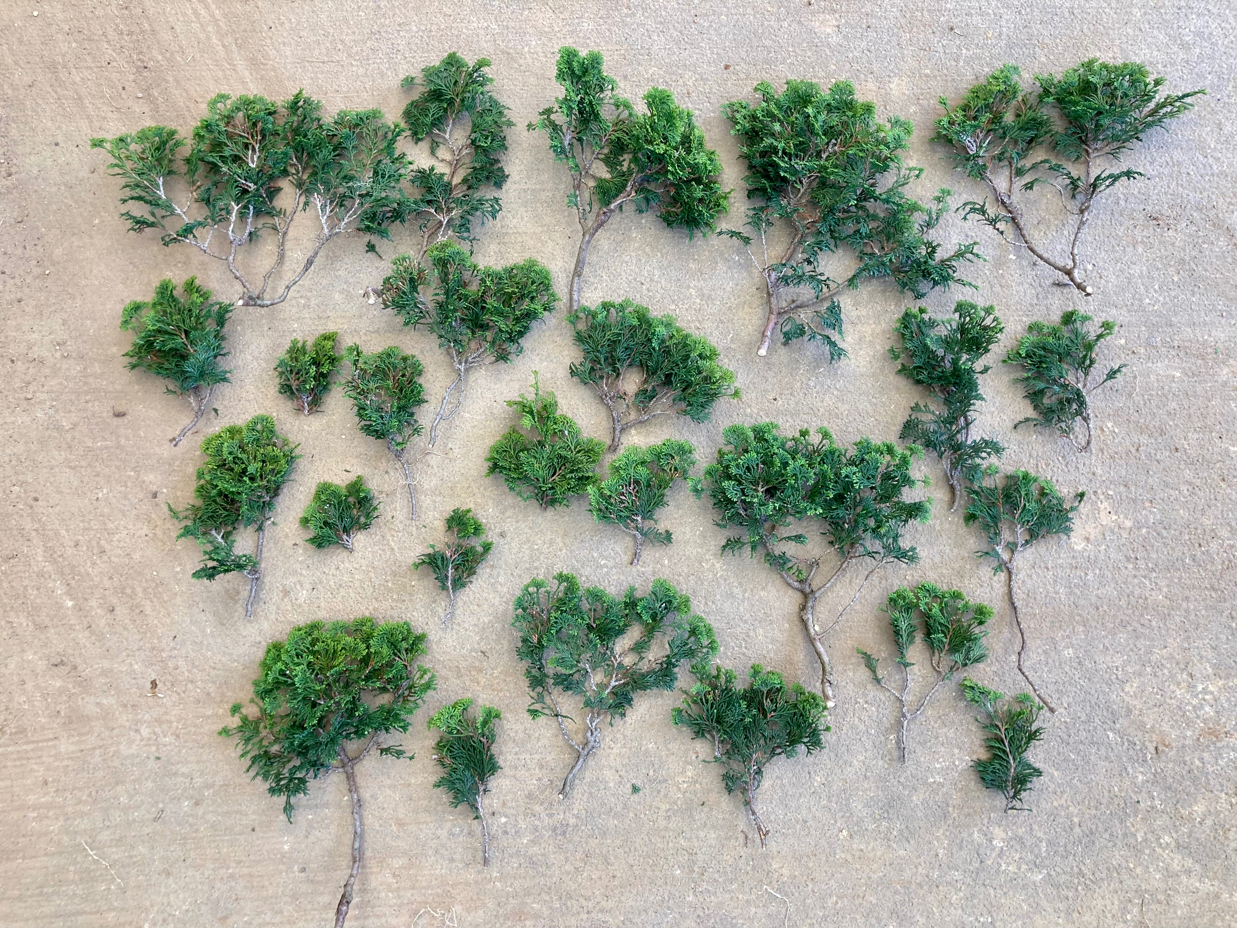 5594E13A-5FB3-48F5-BDE9-4E4B69C62B17