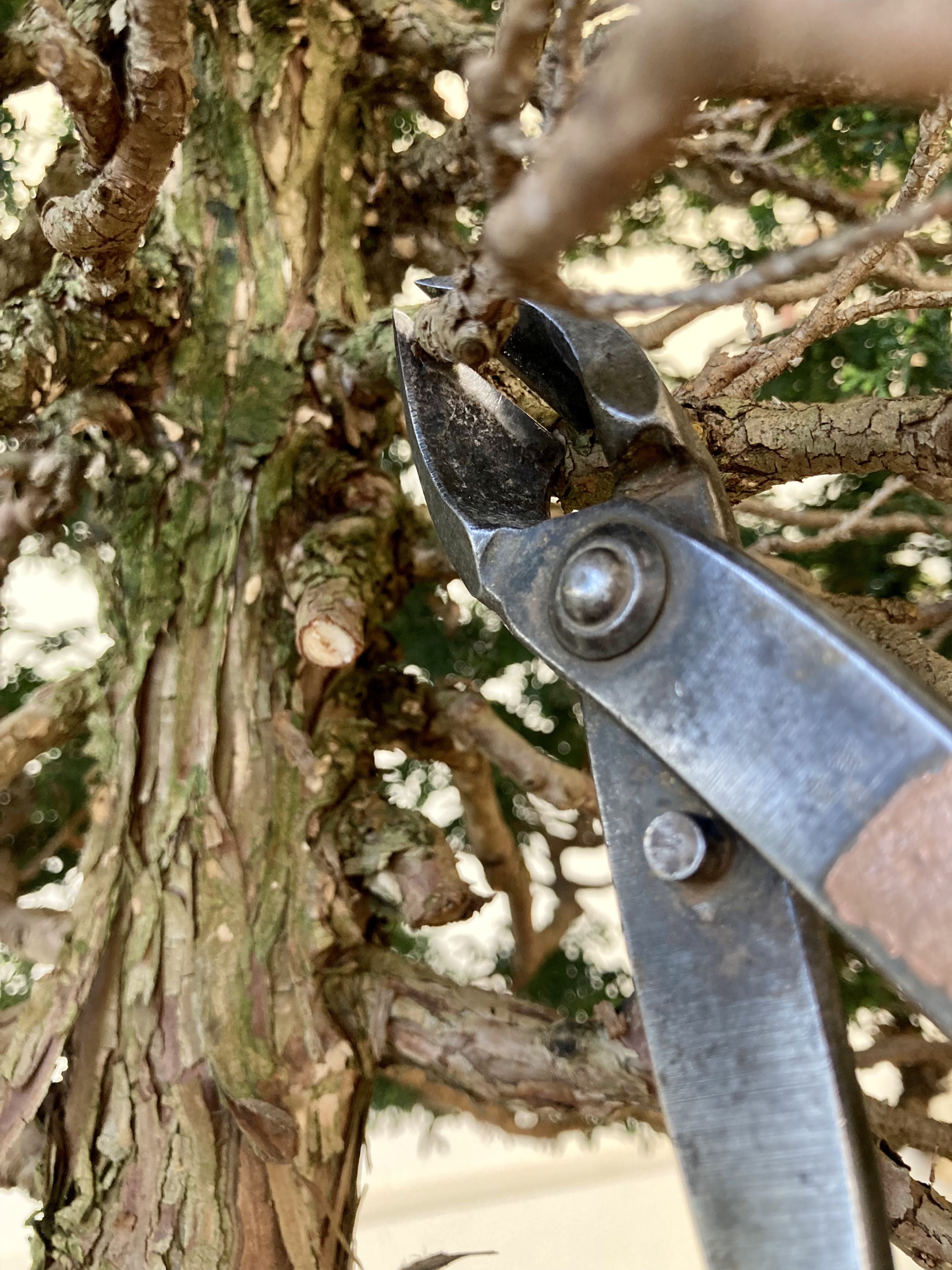 5F72F49C-E2CB-4B0A-A72A-4CBD95445B22