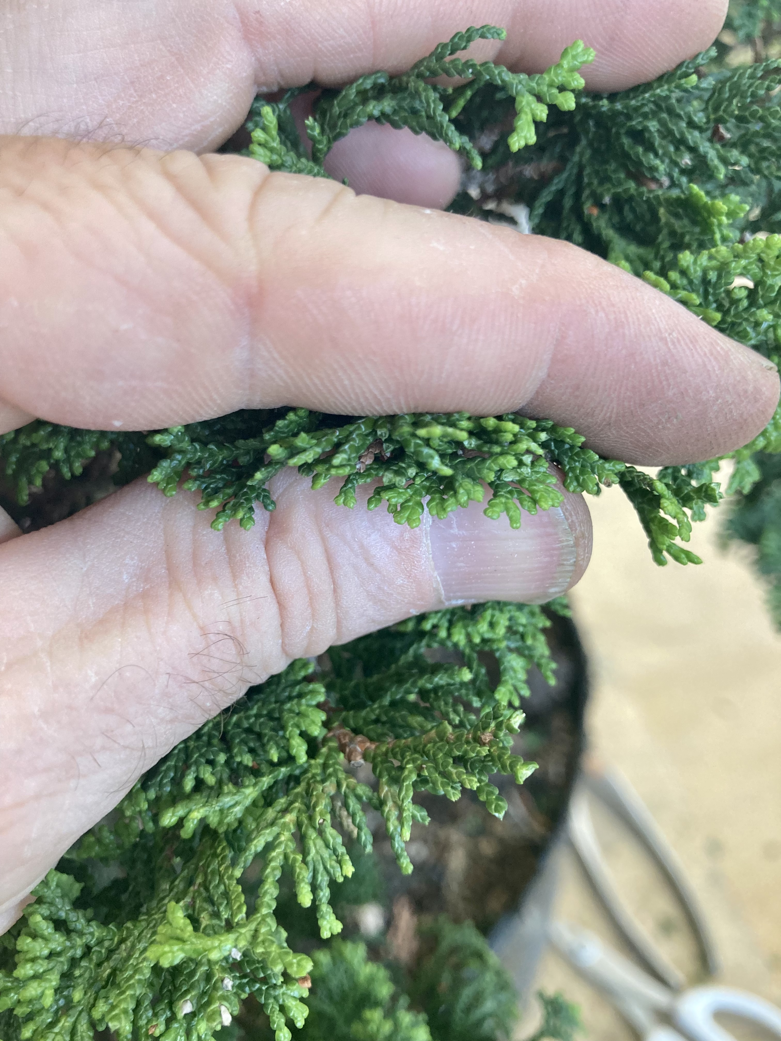 C67A203F-174E-4323-913F-FE41E5C62215