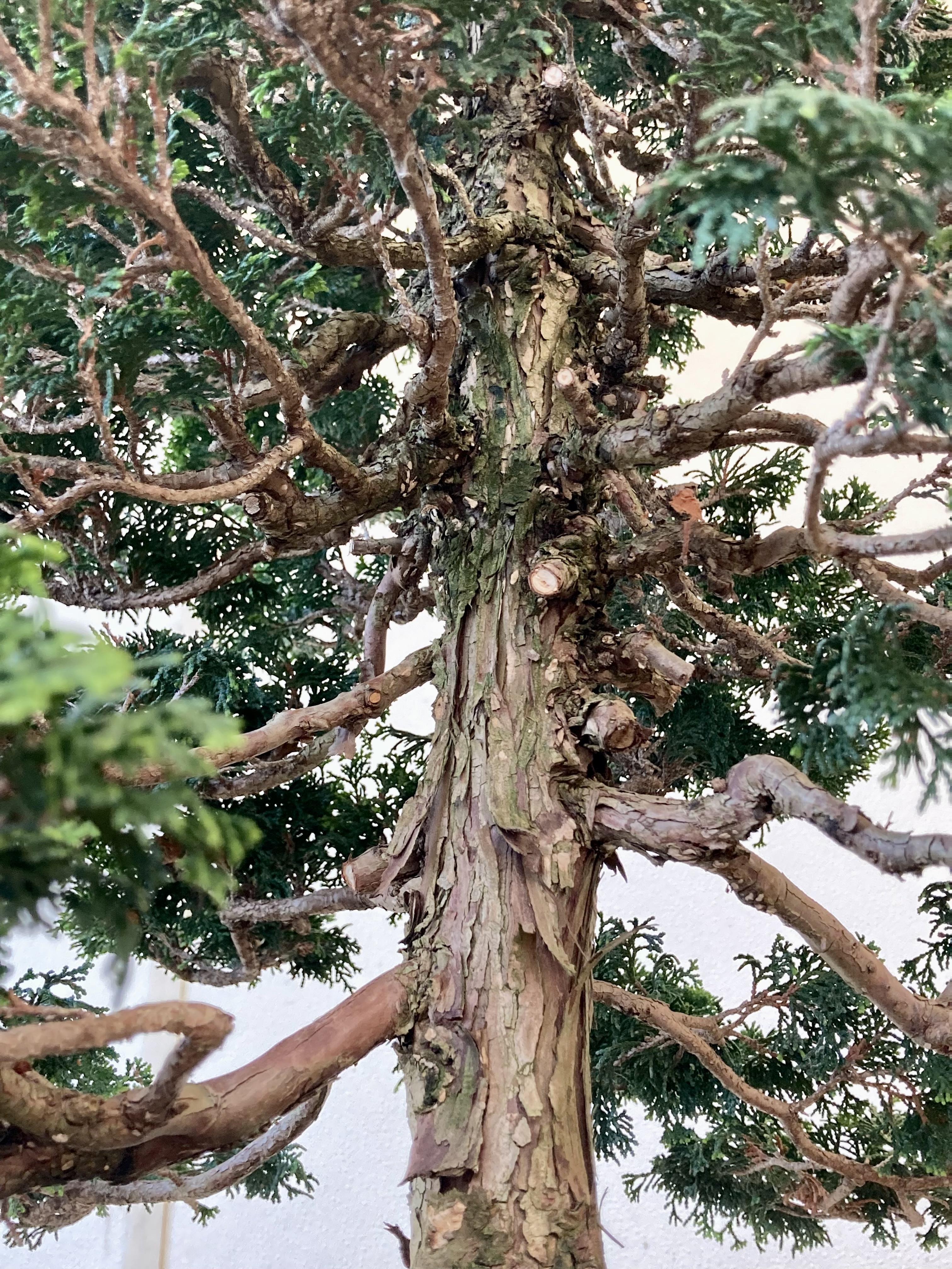 D561A2C5-3EAE-4245-A22A-9D1E69918884