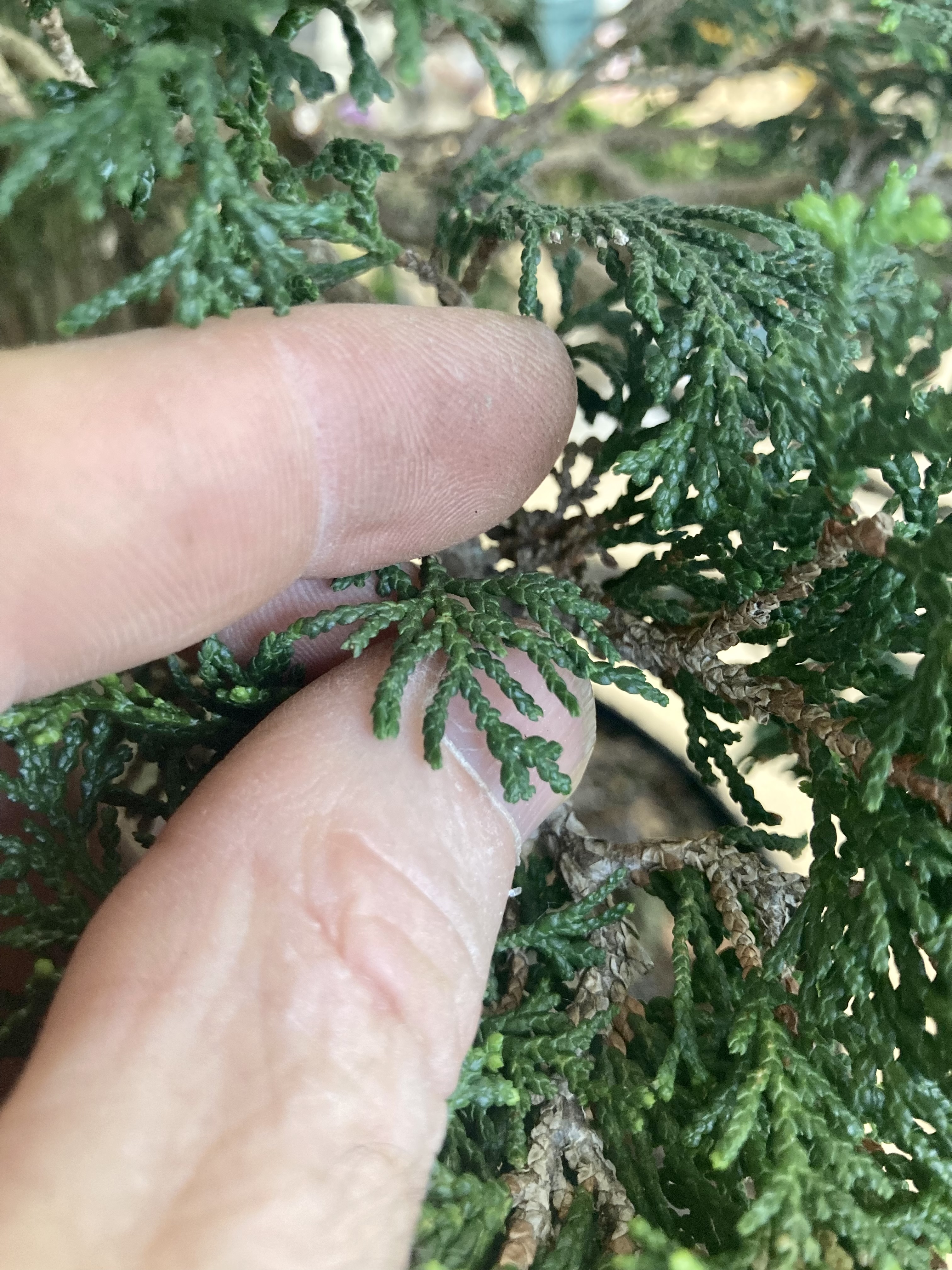 ECCAED20-DAA8-4B77-94B3-0D63F673C4B0