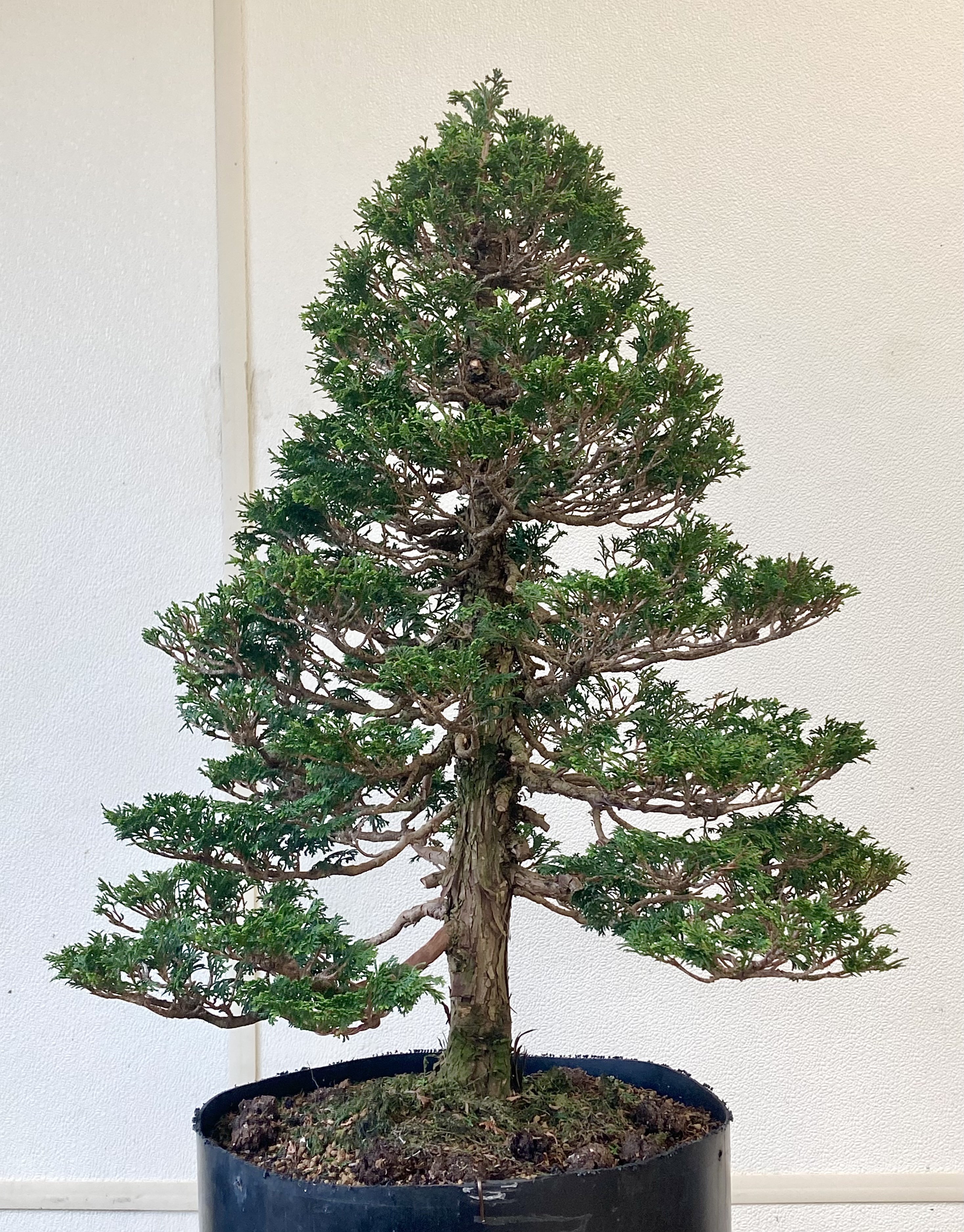 F789C261-3E4A-43FC-B5EA-B39B4C467C9B