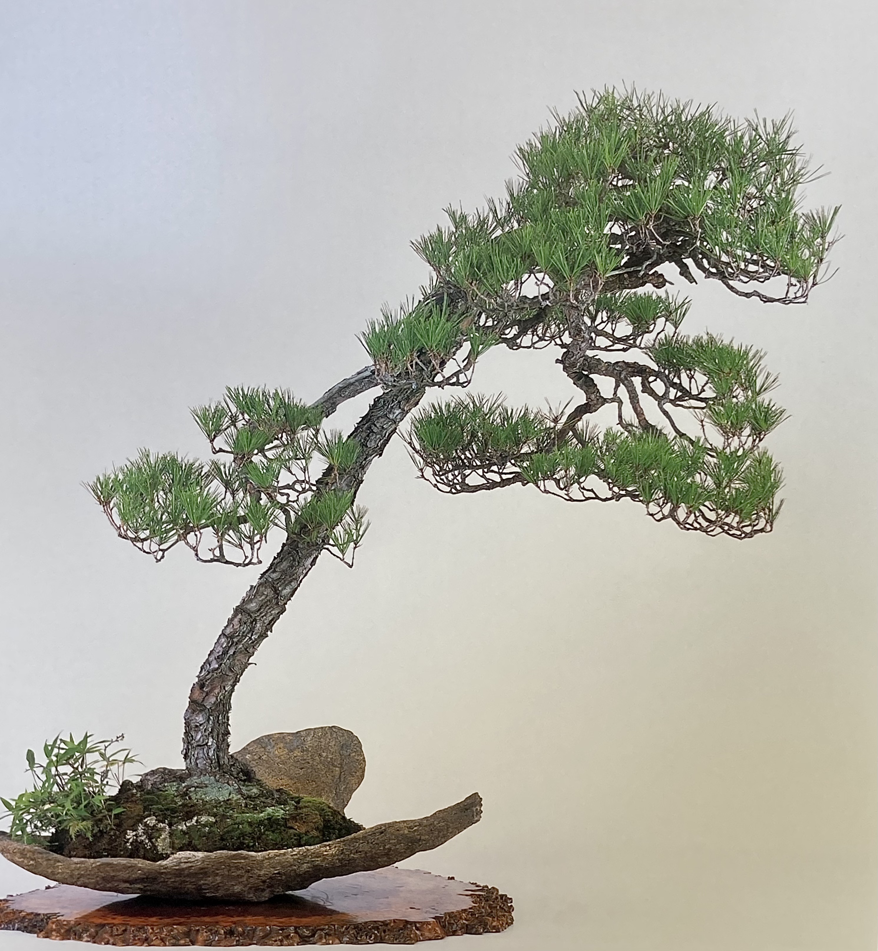 26E3D7A1-0799-42B8-84A8-80440B2A4D8B