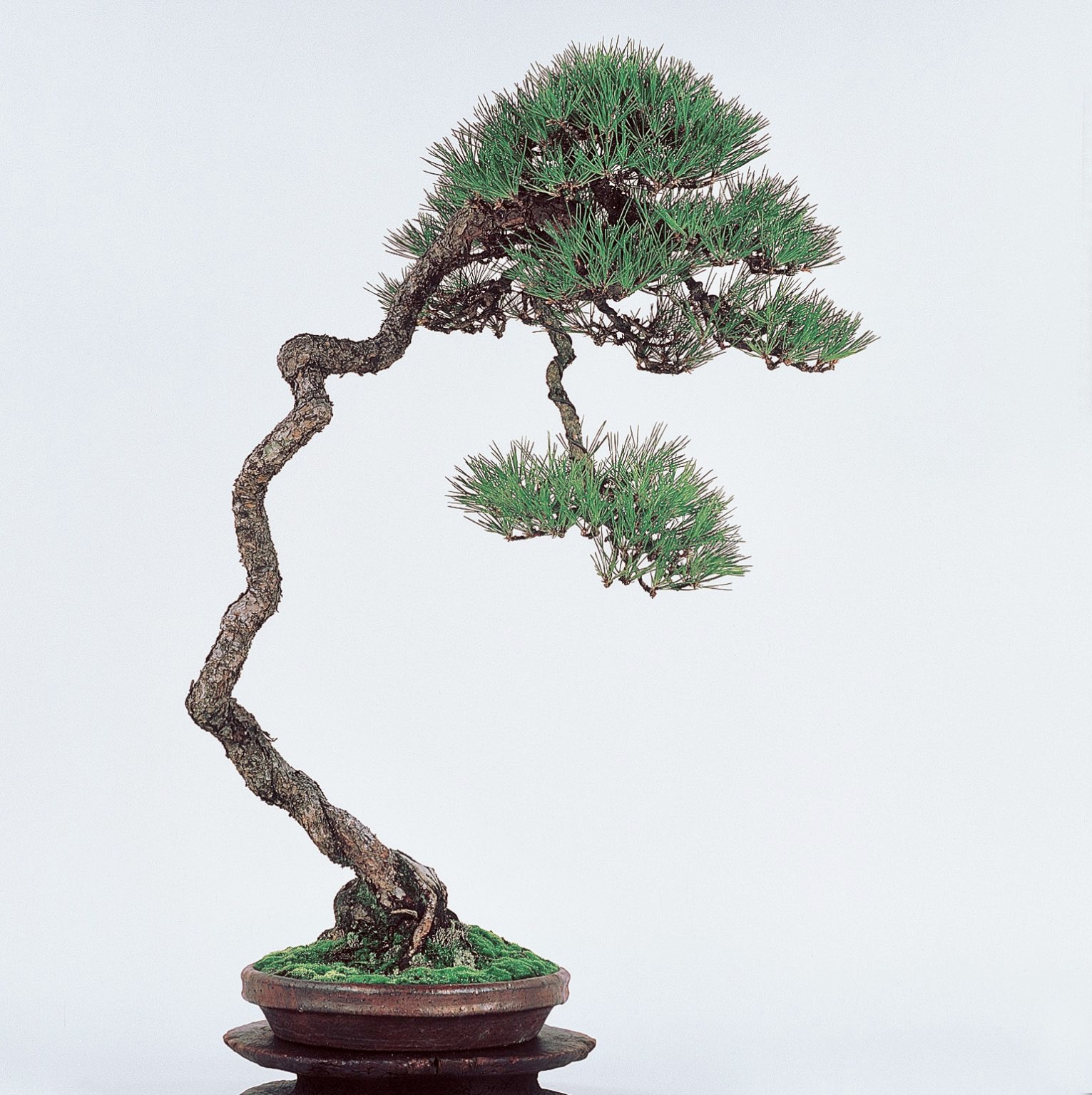 66FC3377-A3EA-4C85-B504-5B6C95E9308B