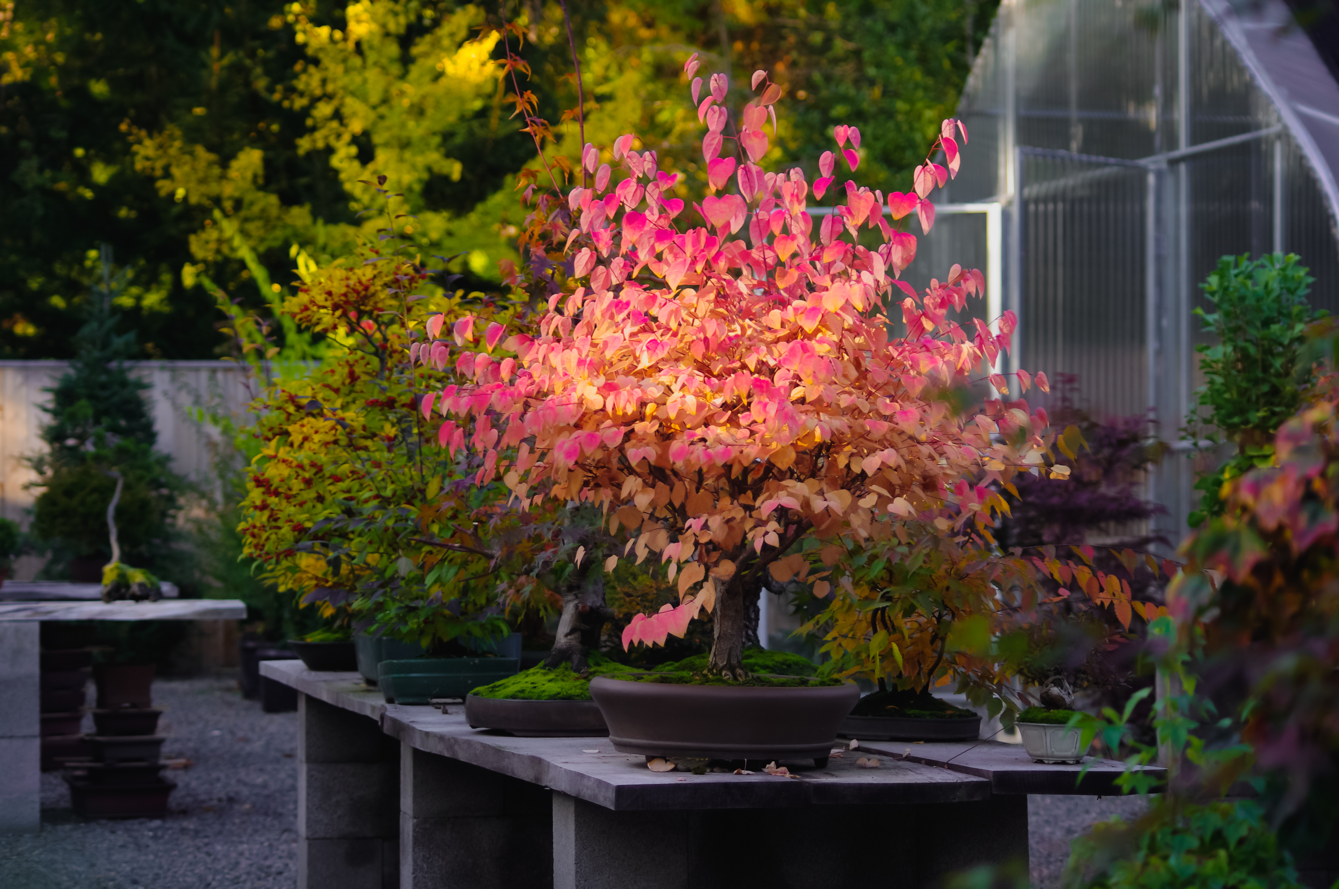 94186F74-983B-4EC2-BFBF-AB4E2C9C8B07