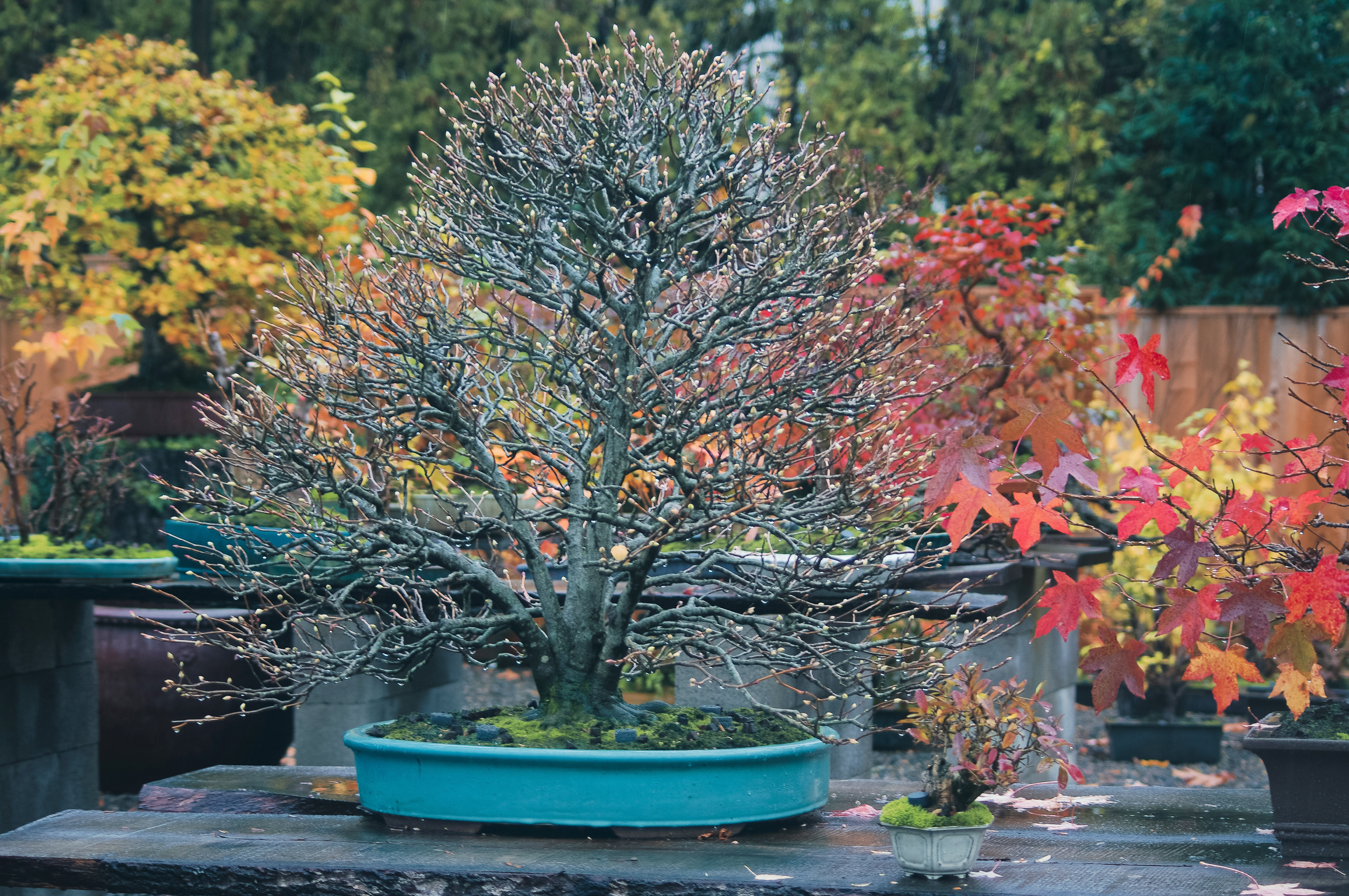 A7284108-29D7-445E-969D-8C589C4ADBB4