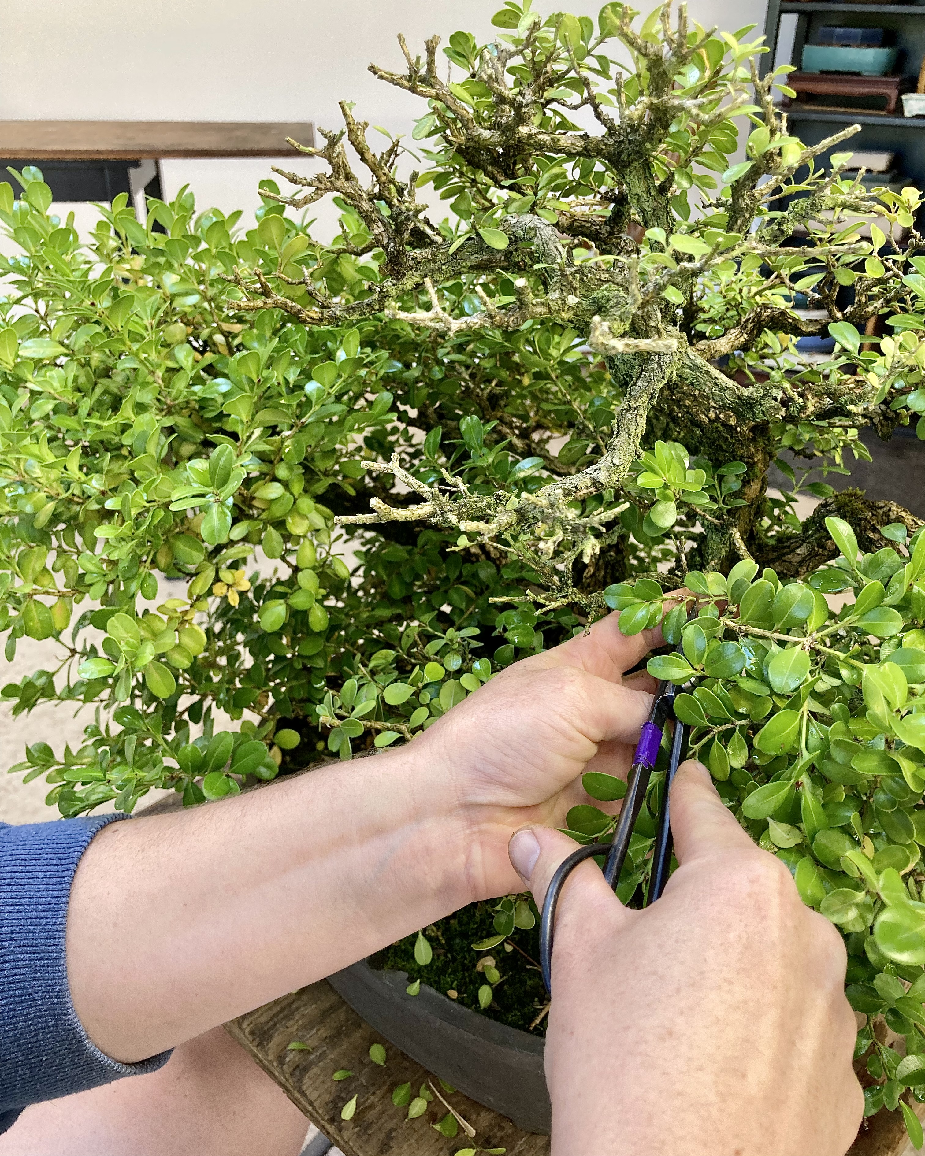 F2EC0930-6D21-439E-999F-A0BD35FB6D41