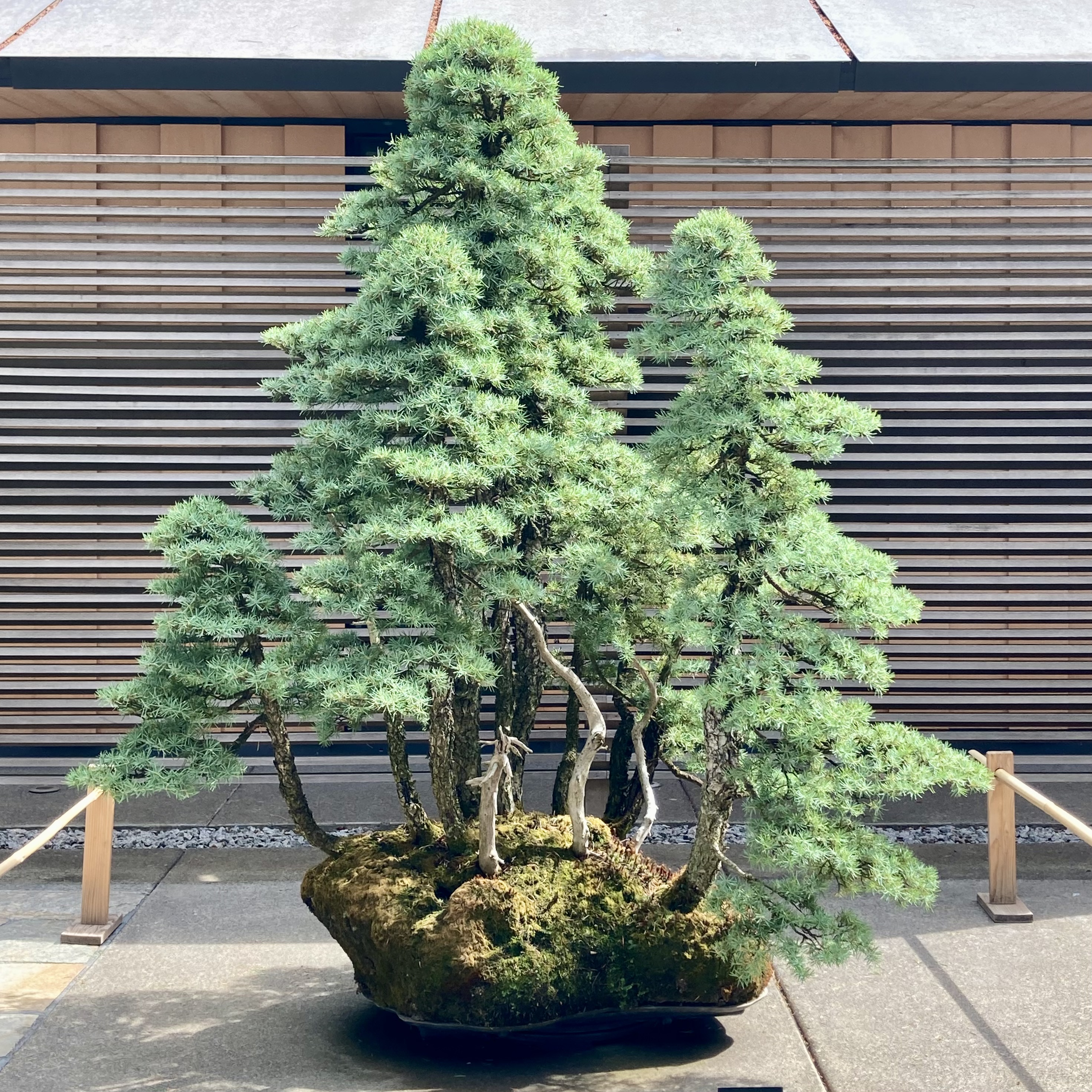 05054865-F14E-42BF-92C2-D1F93962638D