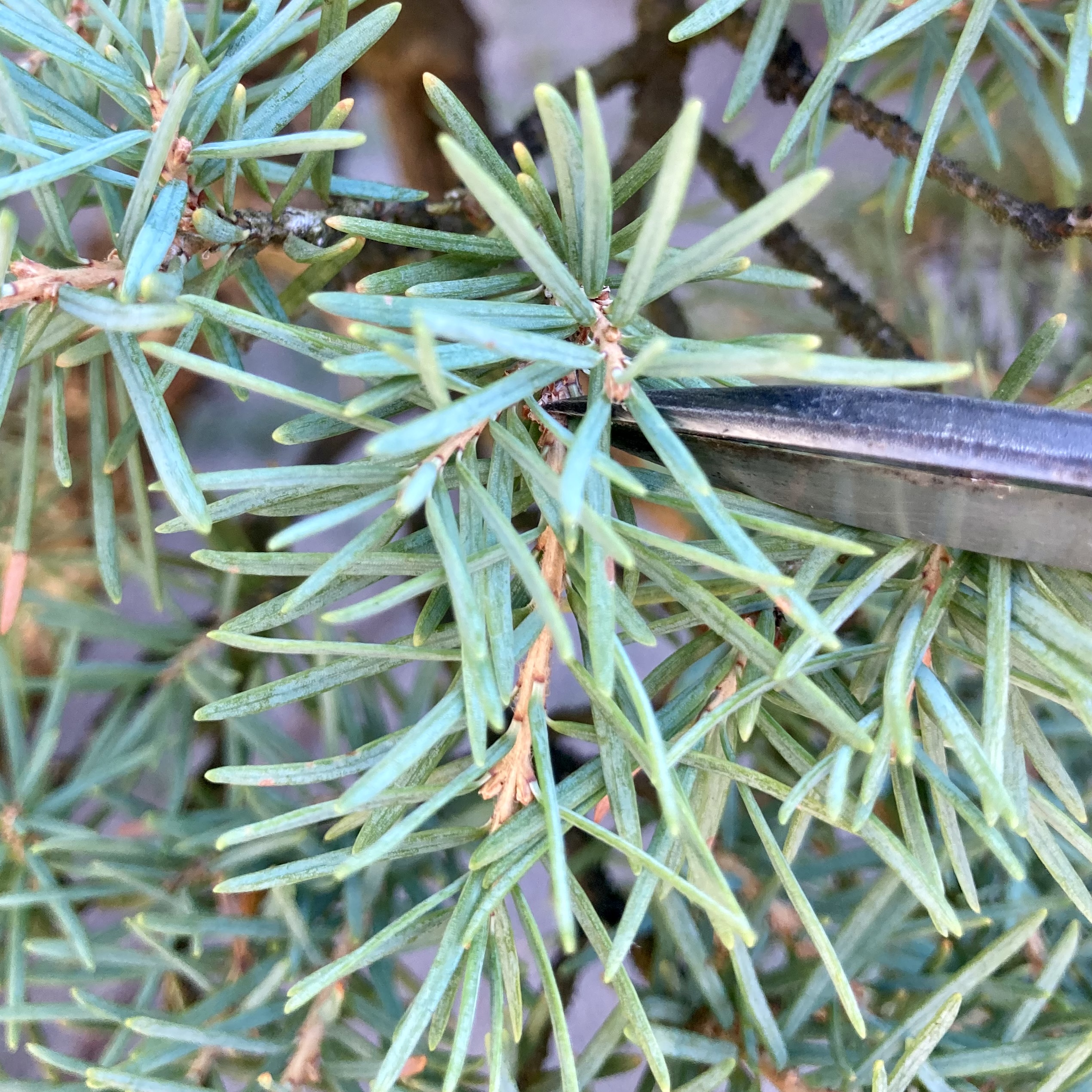 1A1BA00C-9518-40A0-80A8-A61C663C064A