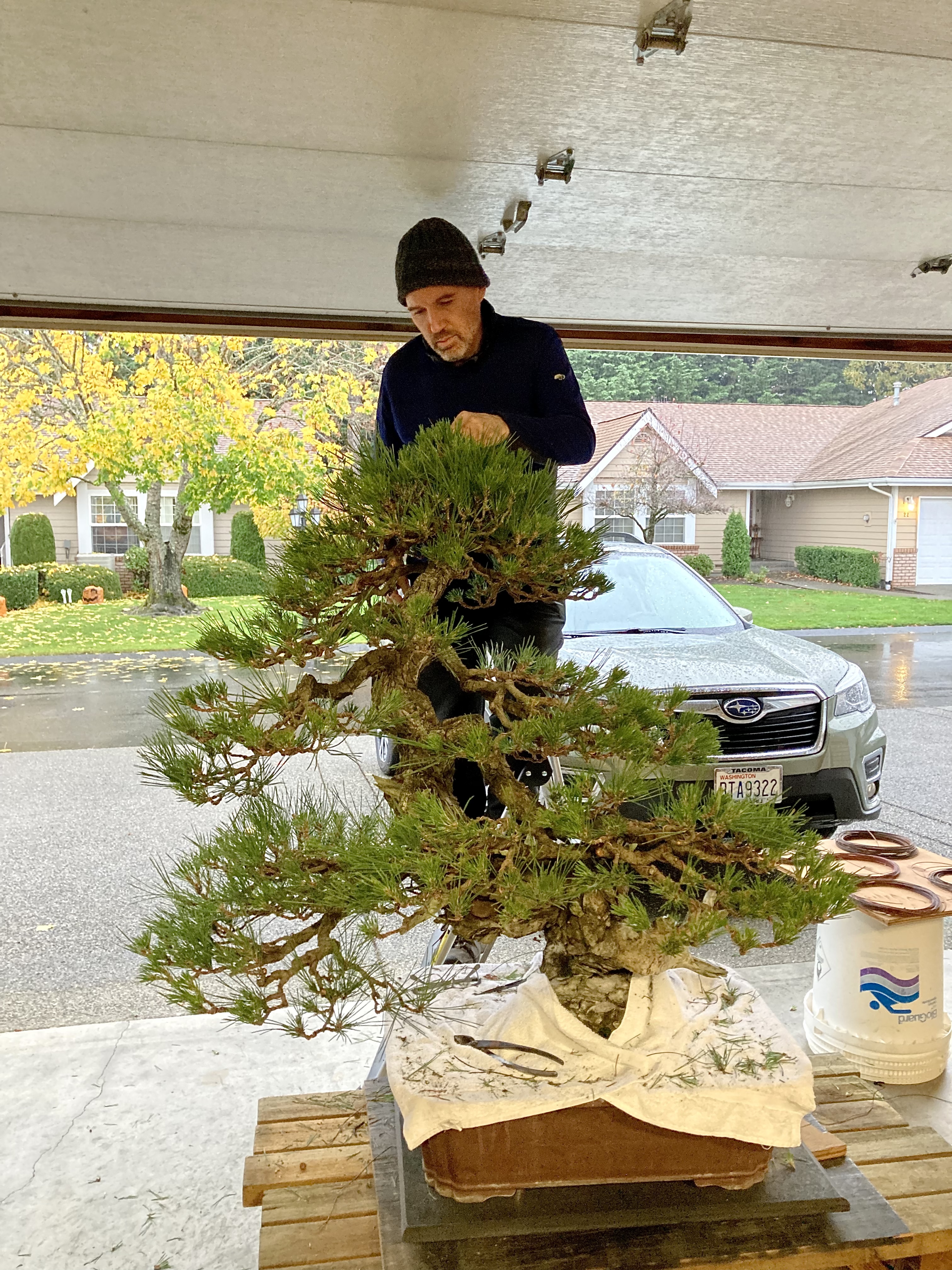 1B24C89B-077E-4D1A-ADD2-BC1928972025