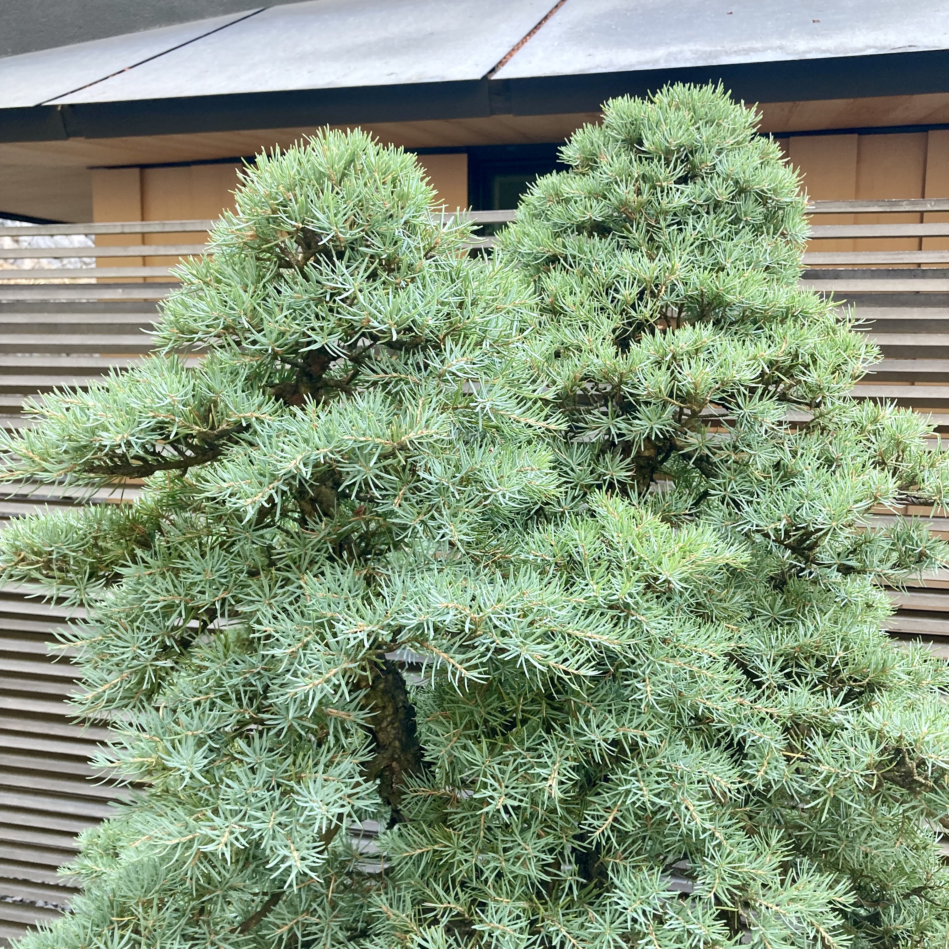 6E50F4B0-1769-4A72-A26C-C3CA79C7EBF3