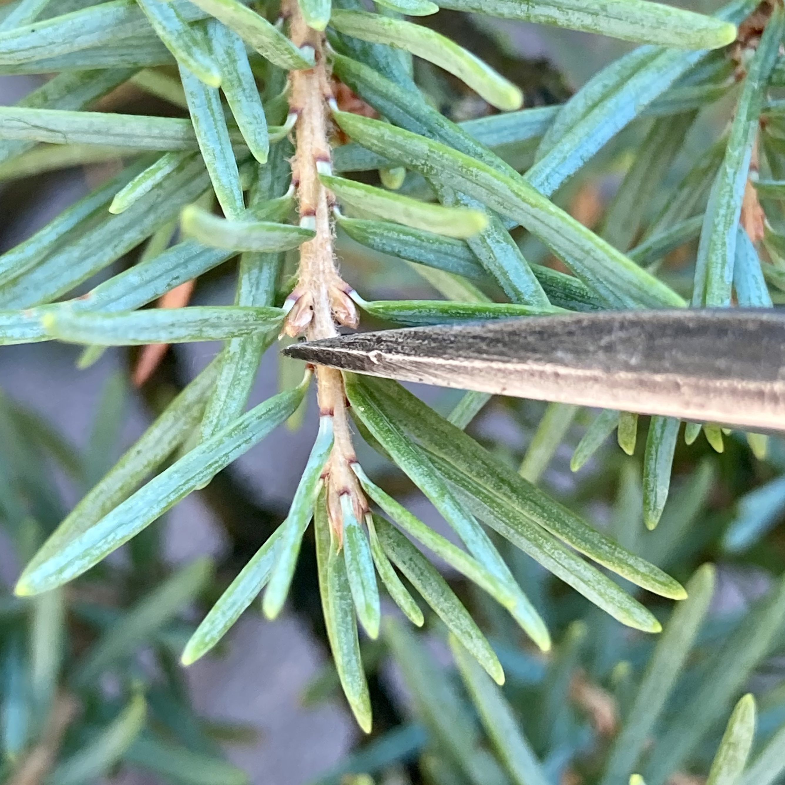 80B453A0-8BF0-46BF-9264-4A8312732A51