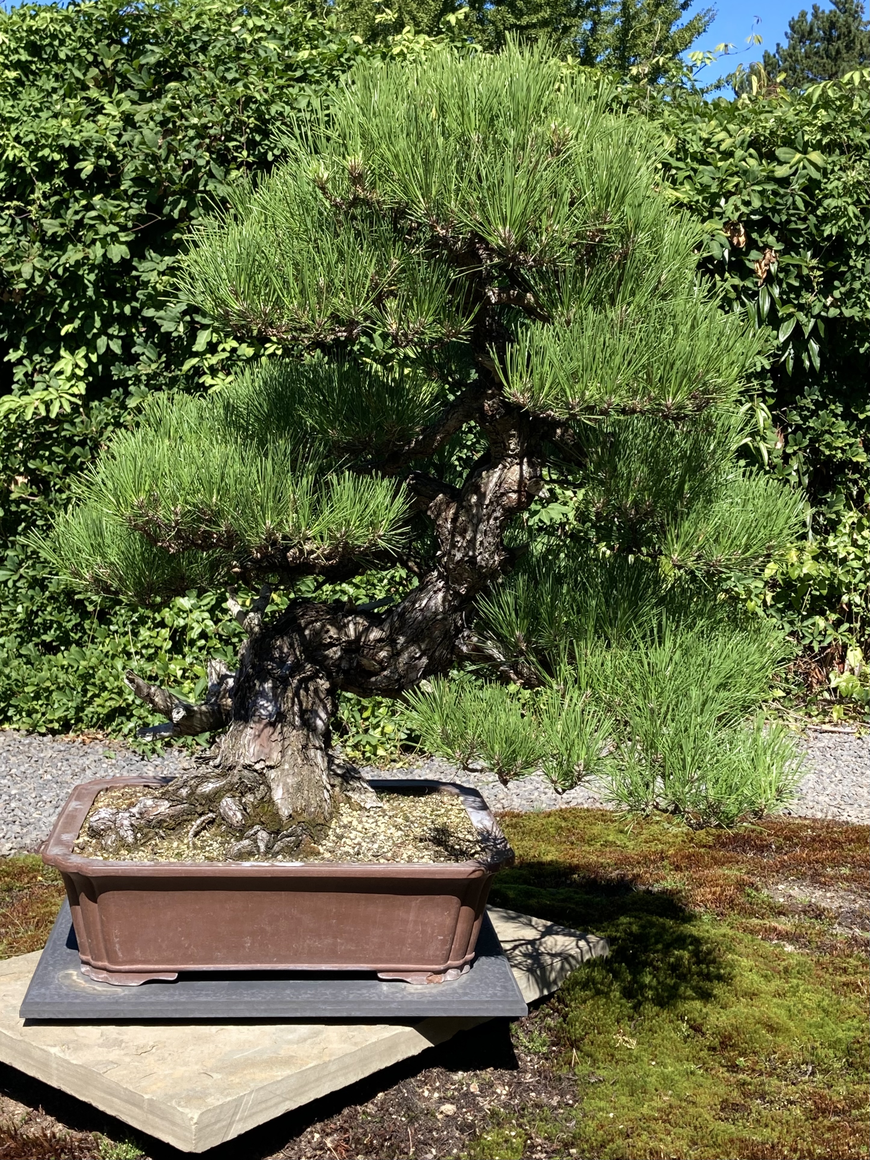 83B1B0C2-7254-4F73-843F-B01DF7C2740D