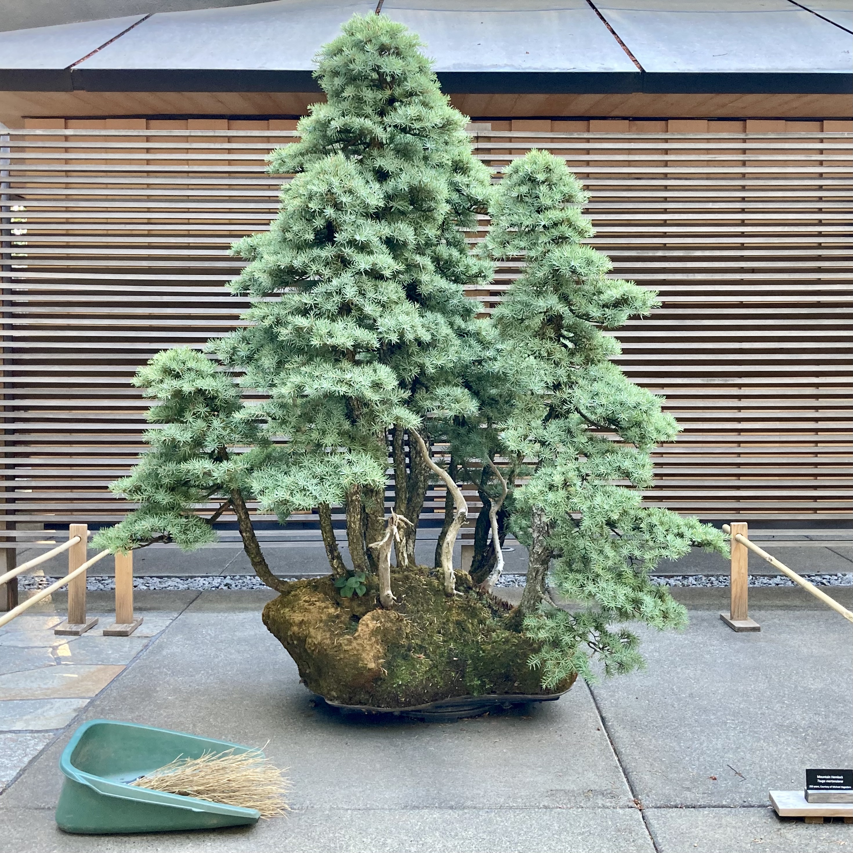 83D261C8-E4A4-421A-B9B9-5A1AC649B966