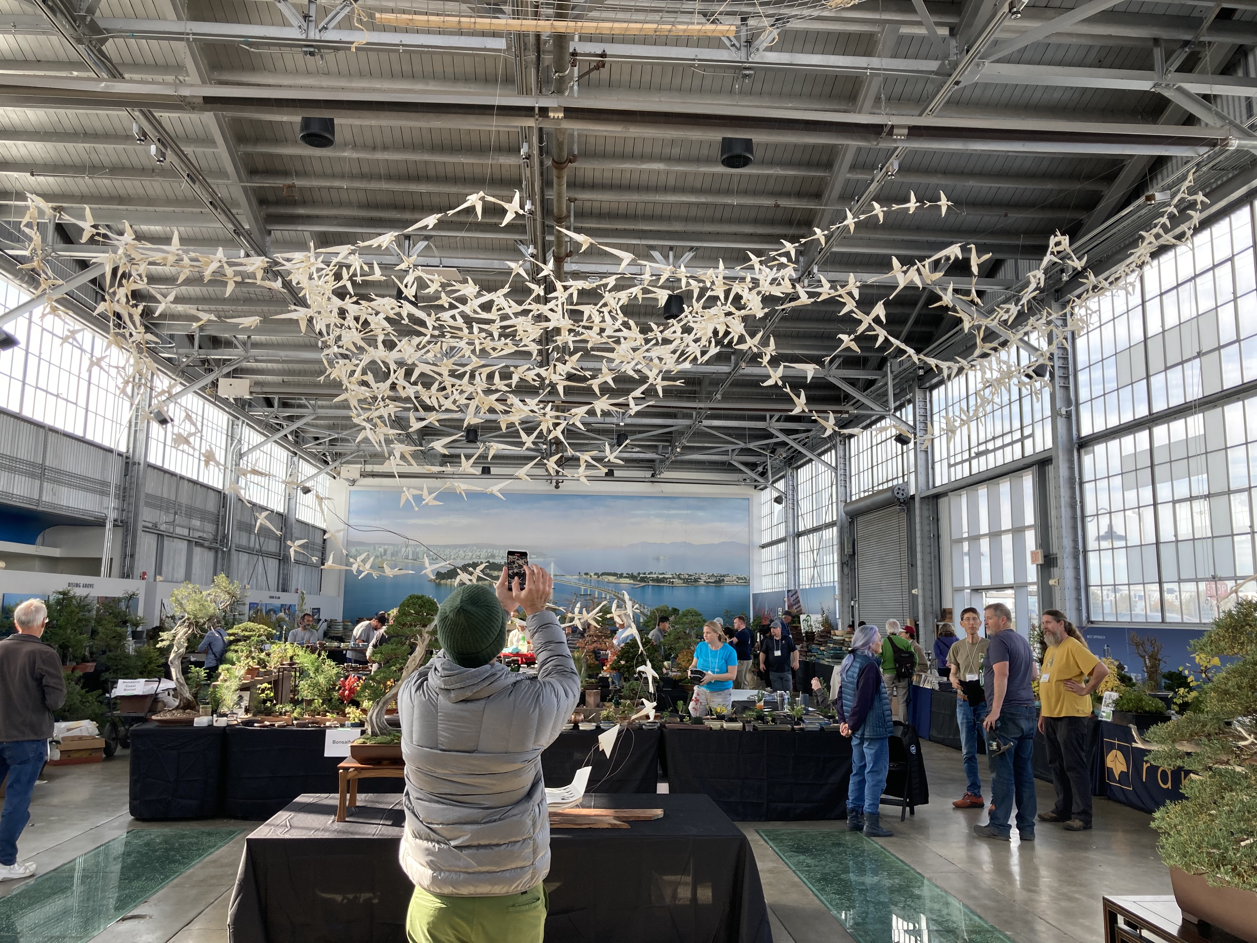 ECB31BBC-D0A0-498B-B6D5-E289FAEF4473